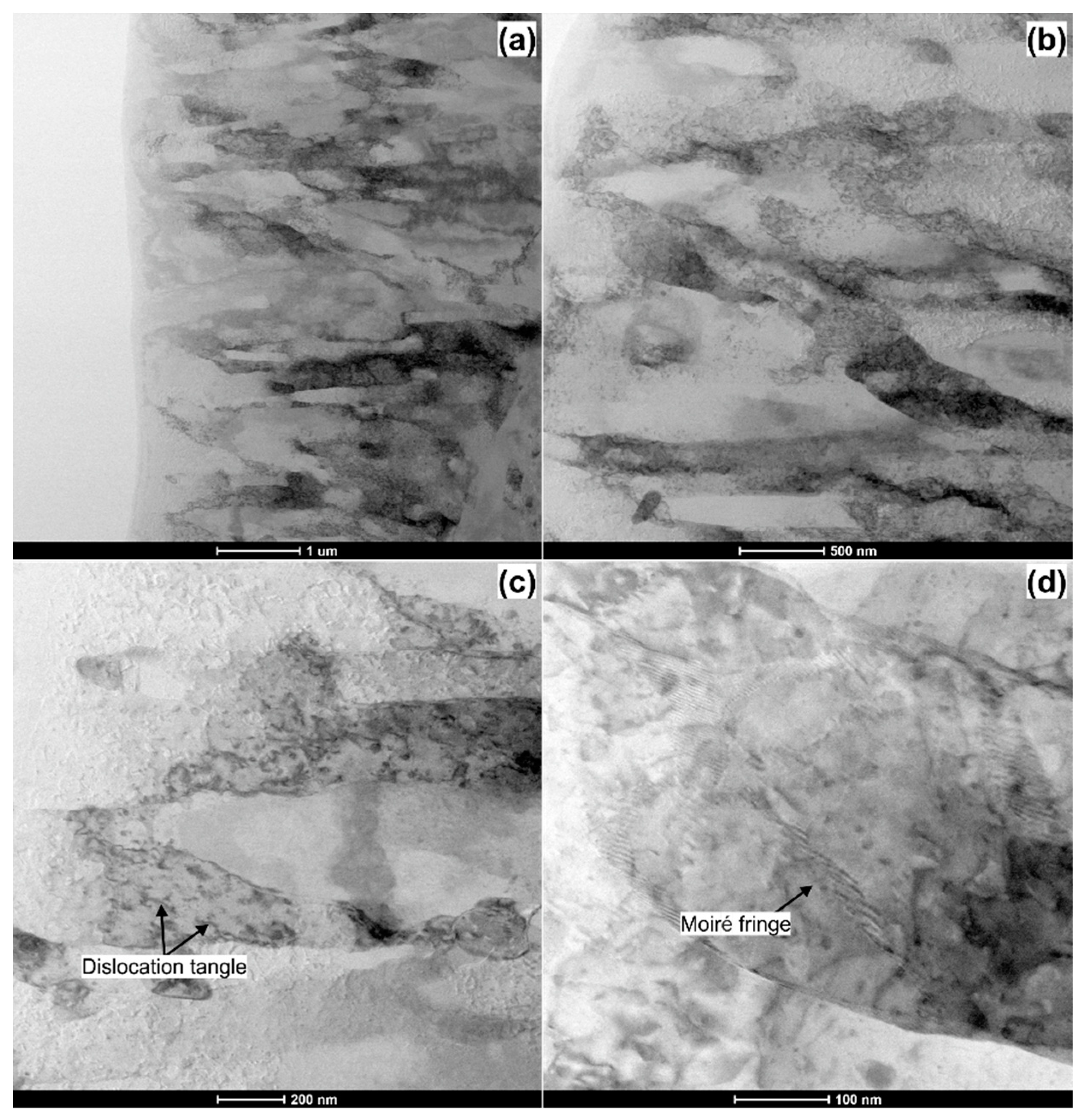 Materials 14 01010 g008