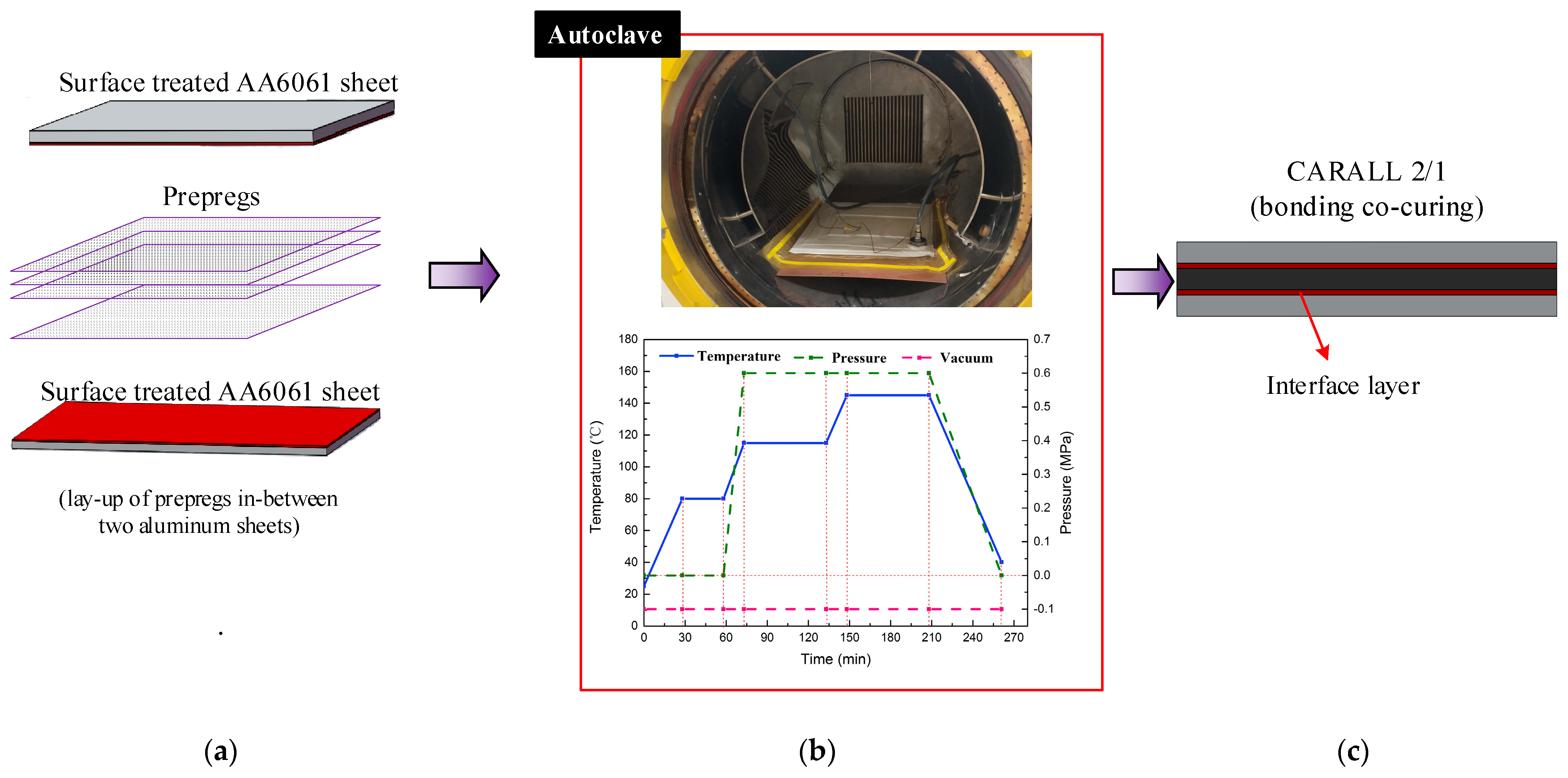 Materials 14 01019 g002