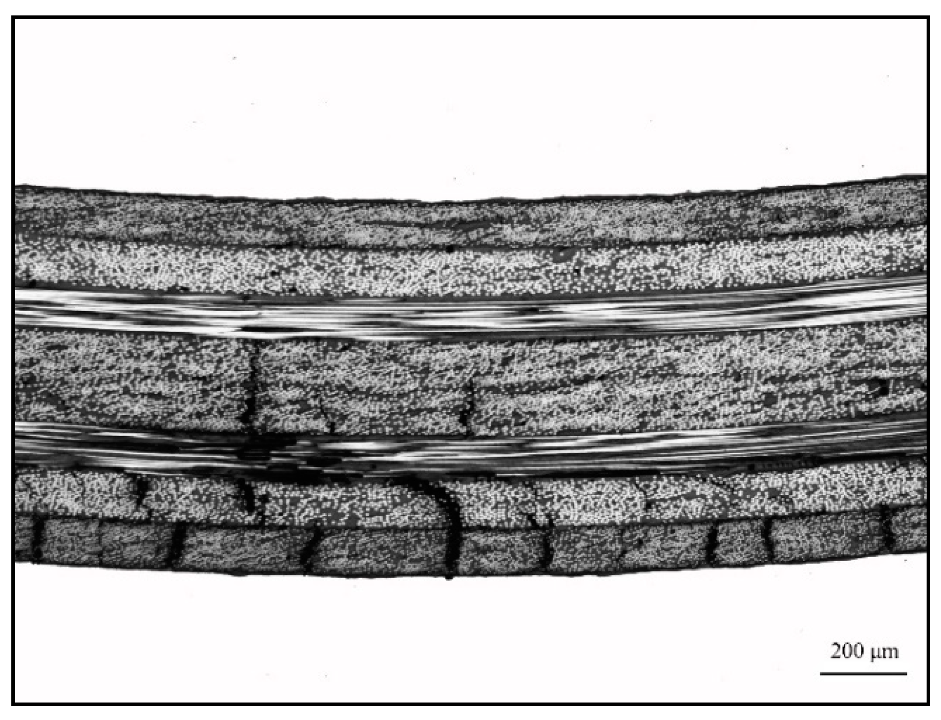Materials 14 01019 g014
