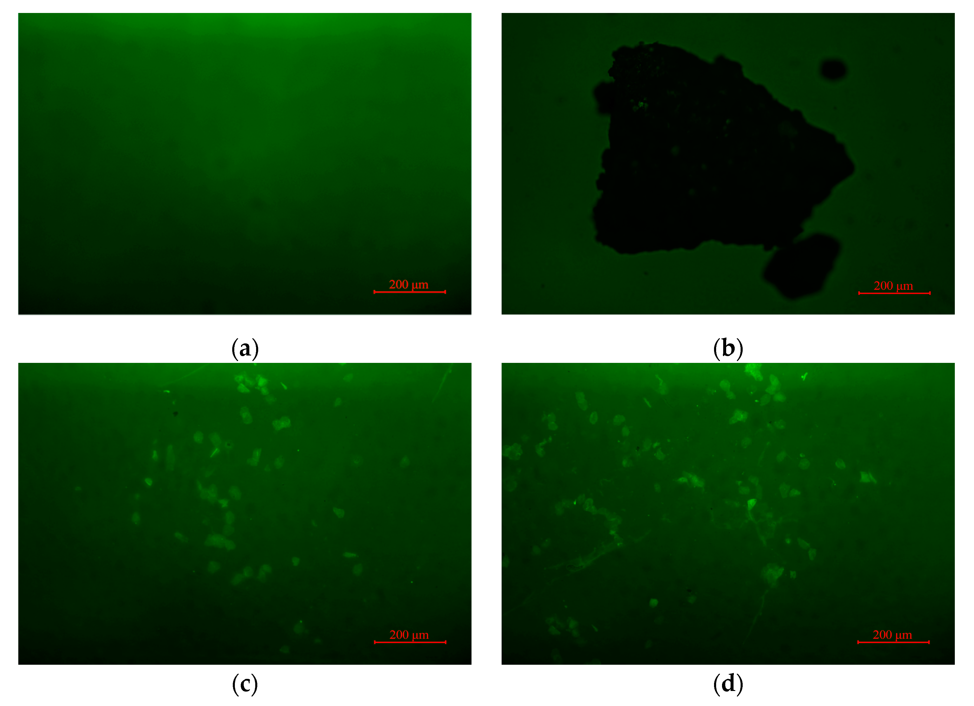 Materials 14 01023 g013