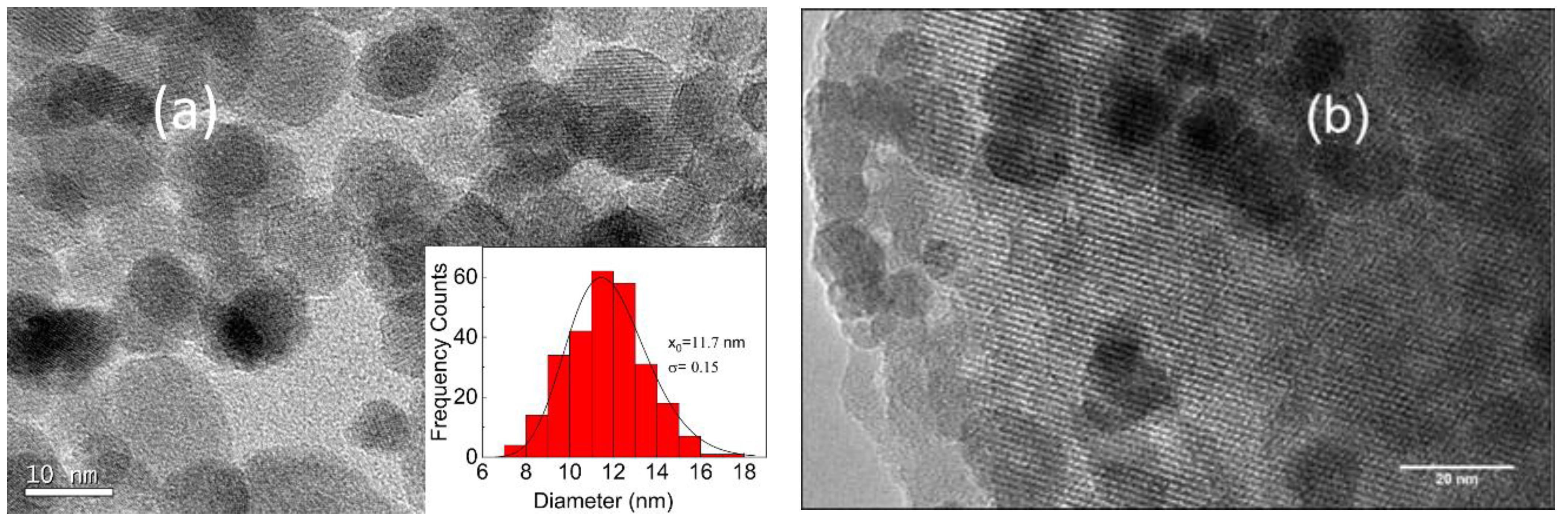 Materials 14 01029 g001