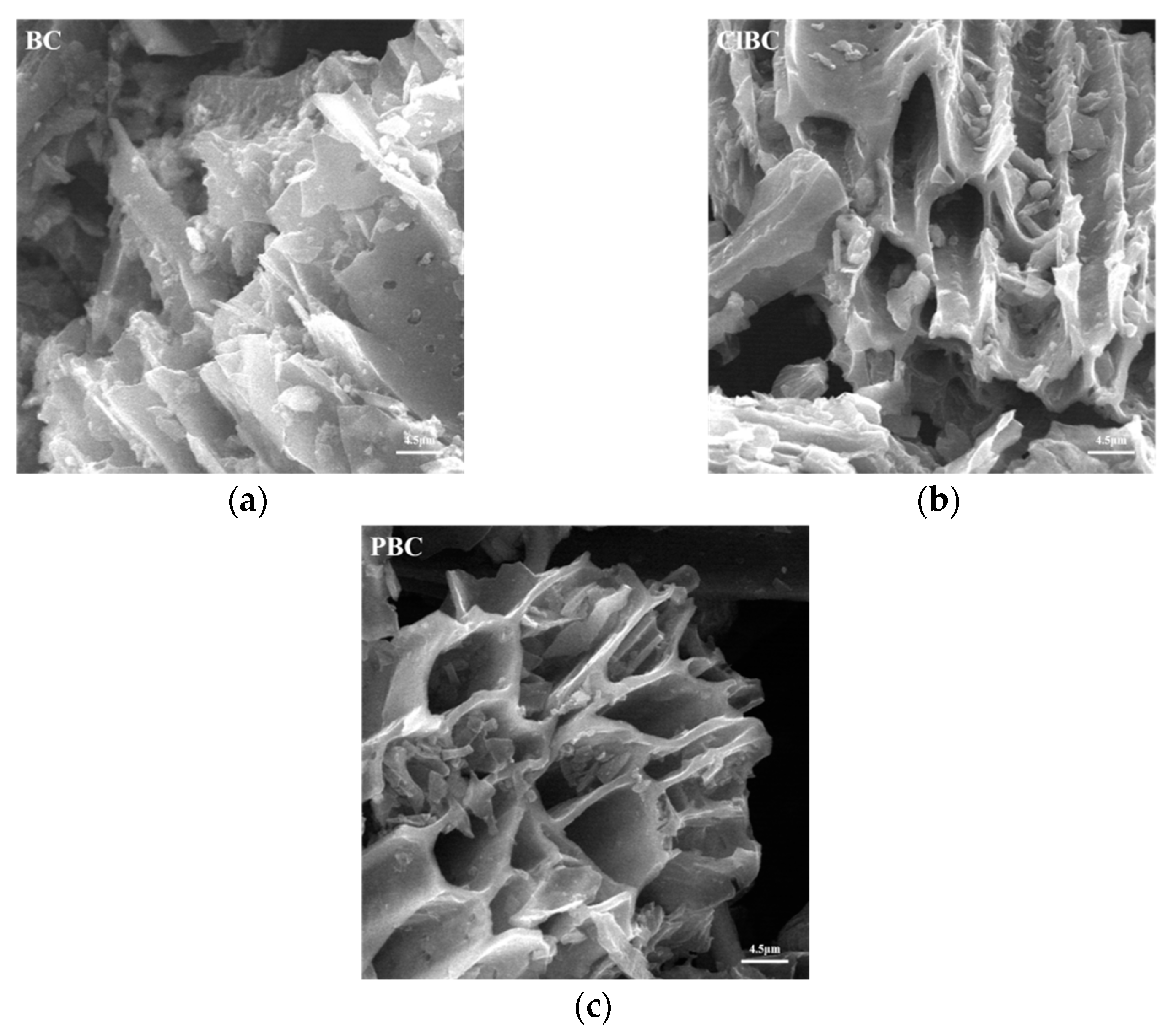 Materials 14 01033 g001