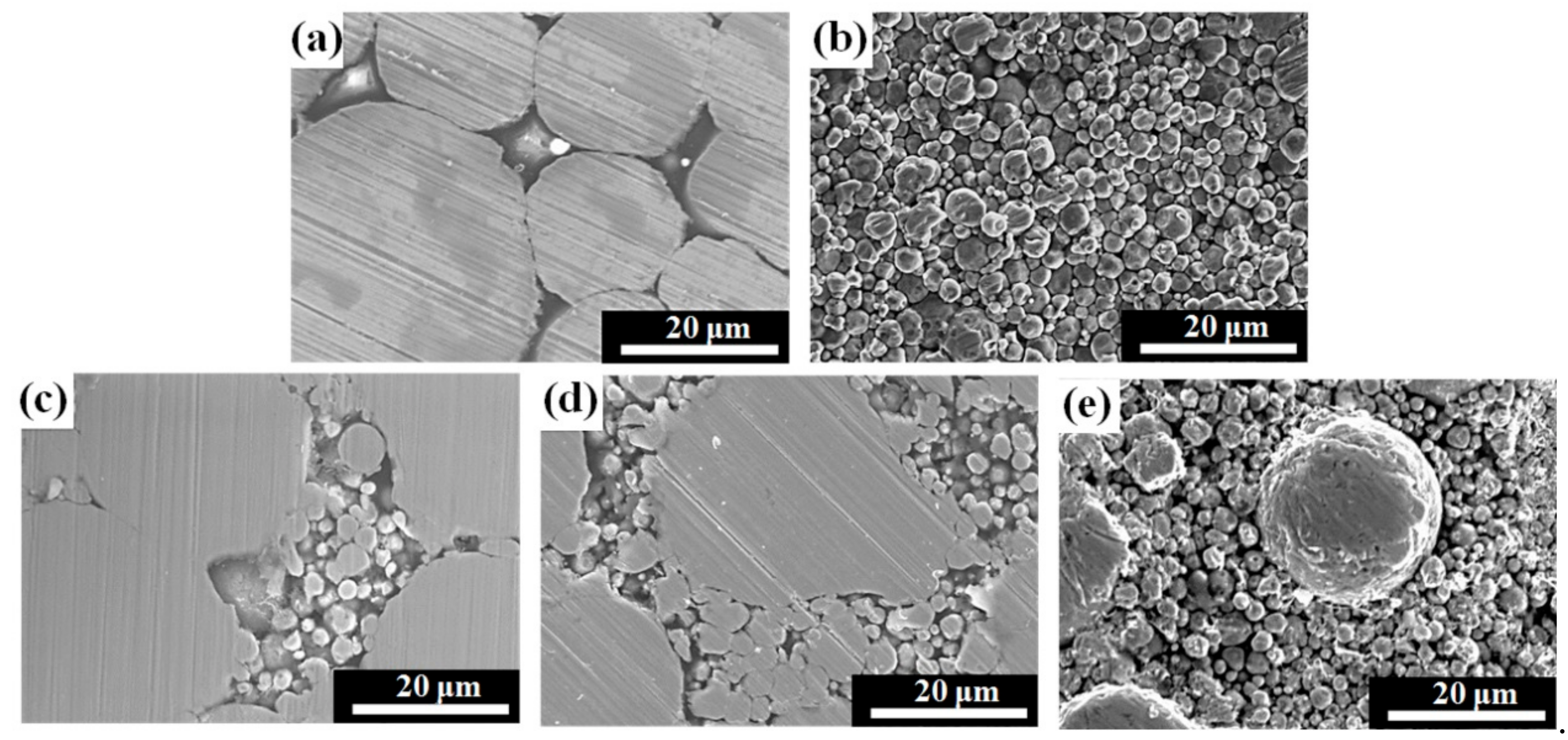 Materials 14 01034 g004