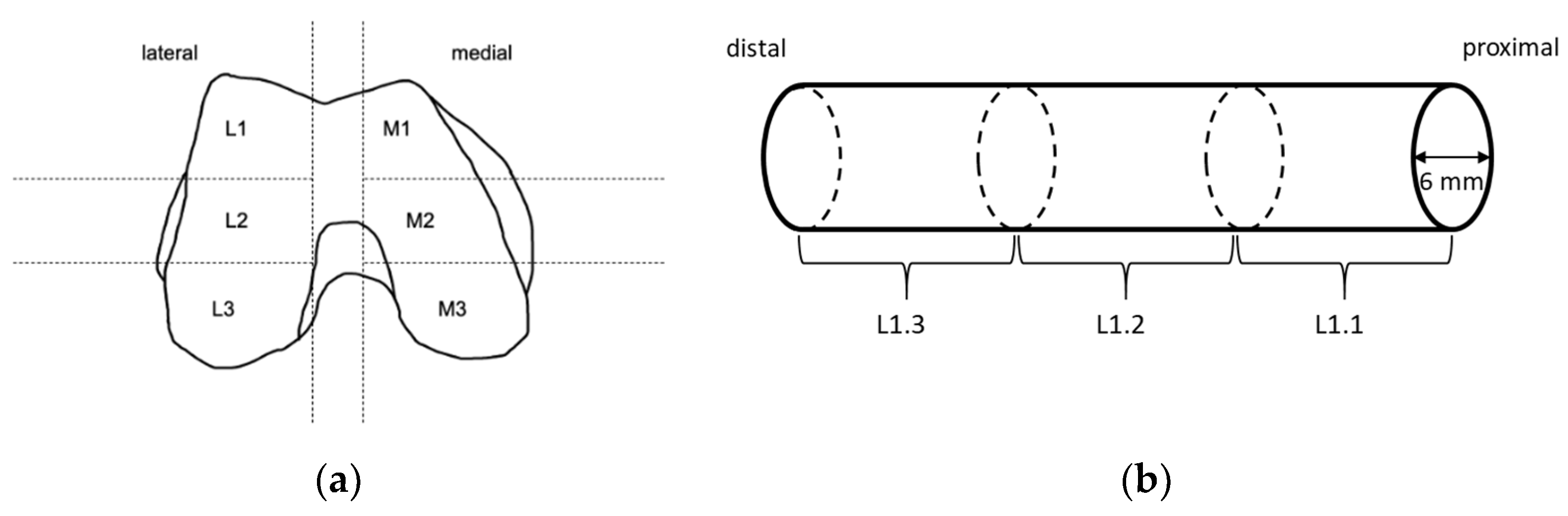 Materials 14 01069 g001