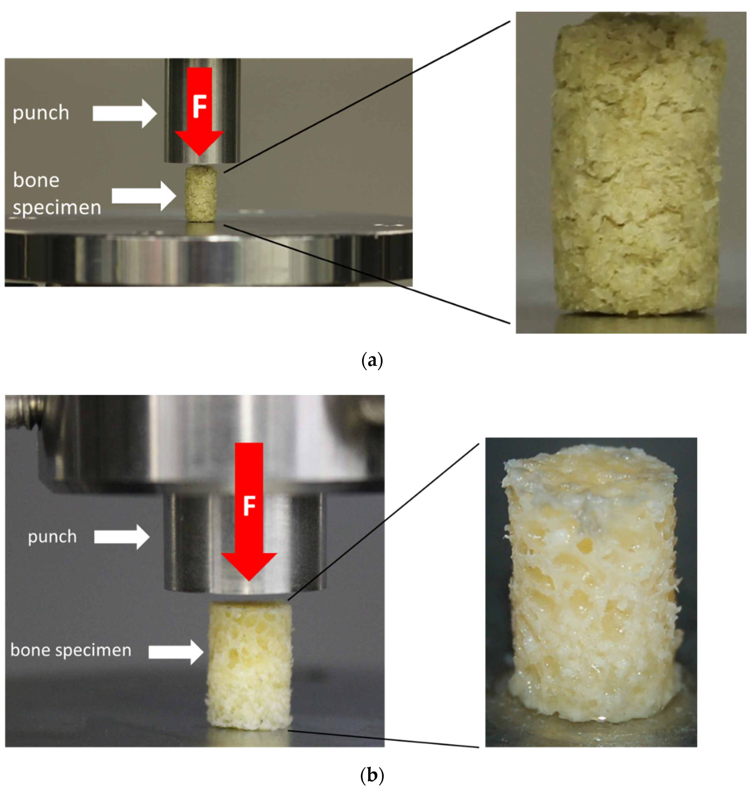 Materials 14 01069 g004
