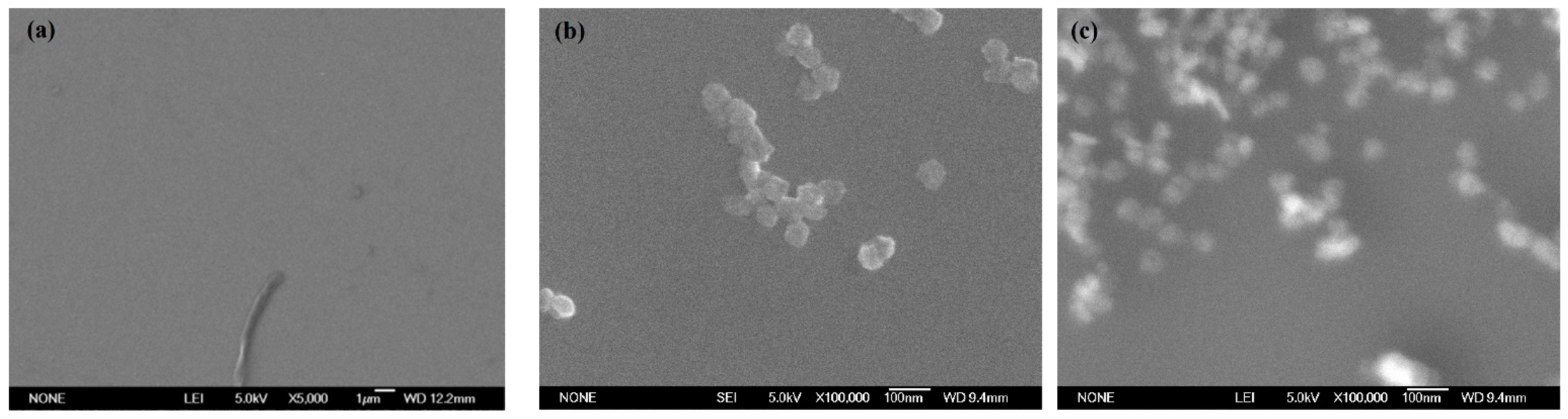 Materials 14 01070 g006