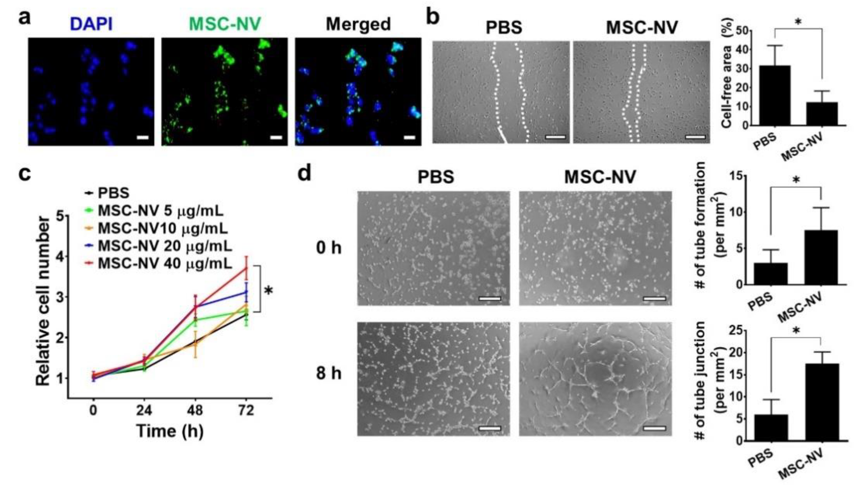 Materials 14 01078 g003