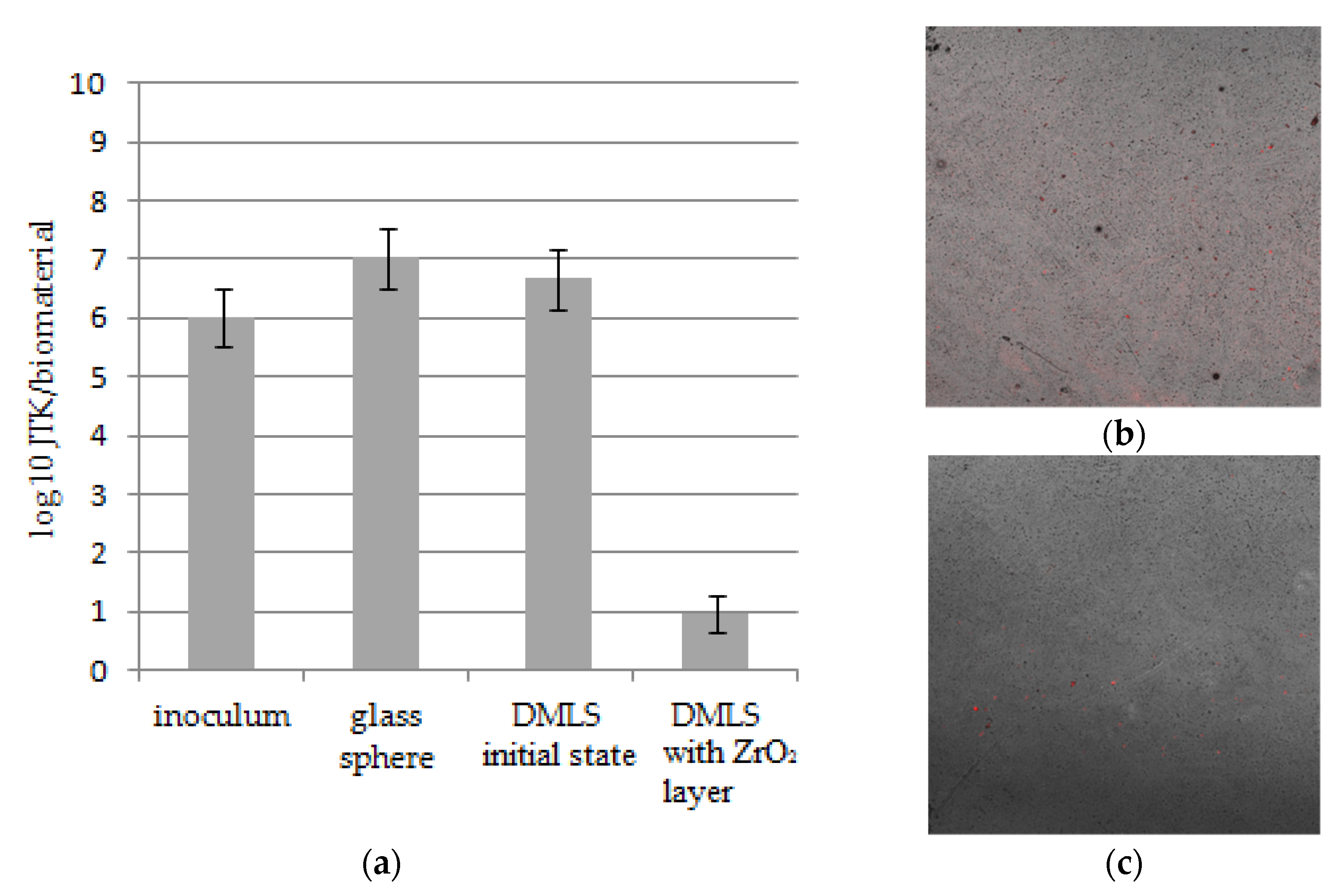 Materials 14 01079 g010 Materials 14 01079 g010