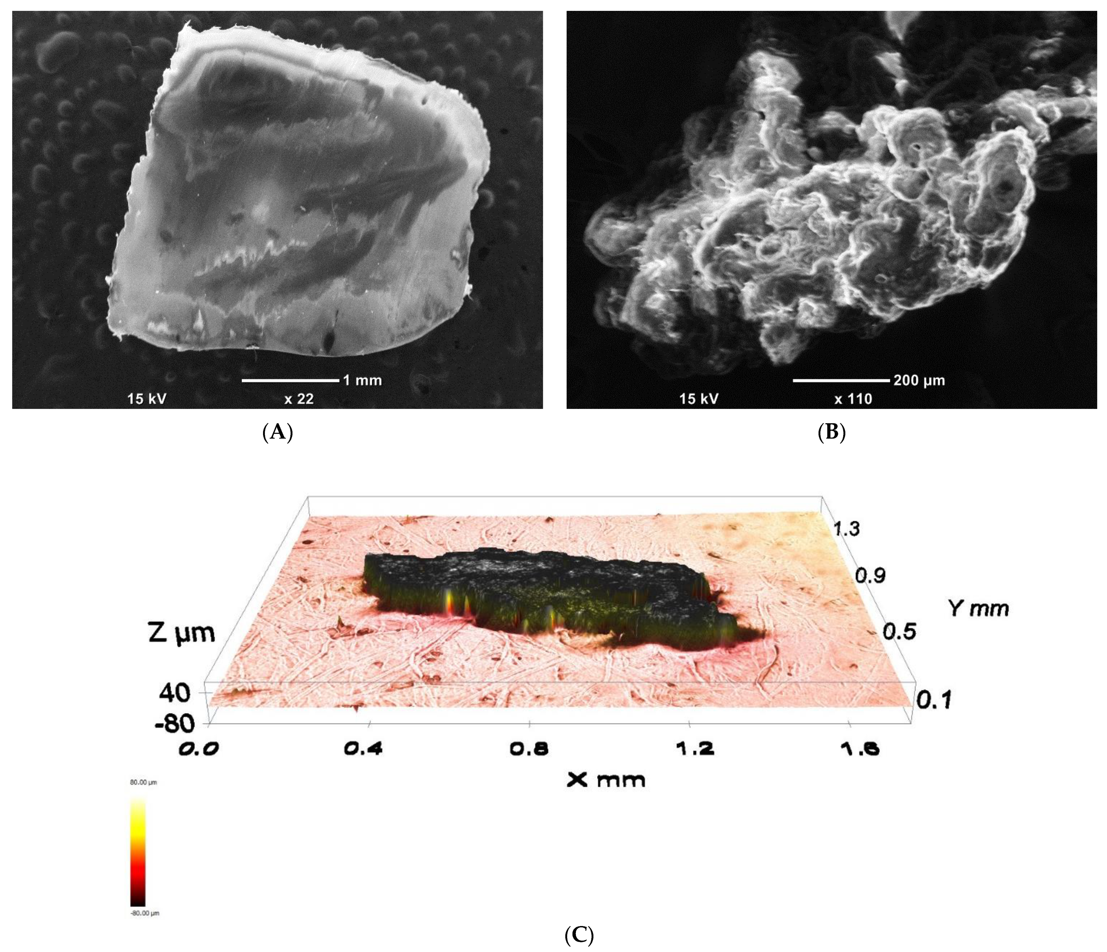 Materials 14 01086 g004