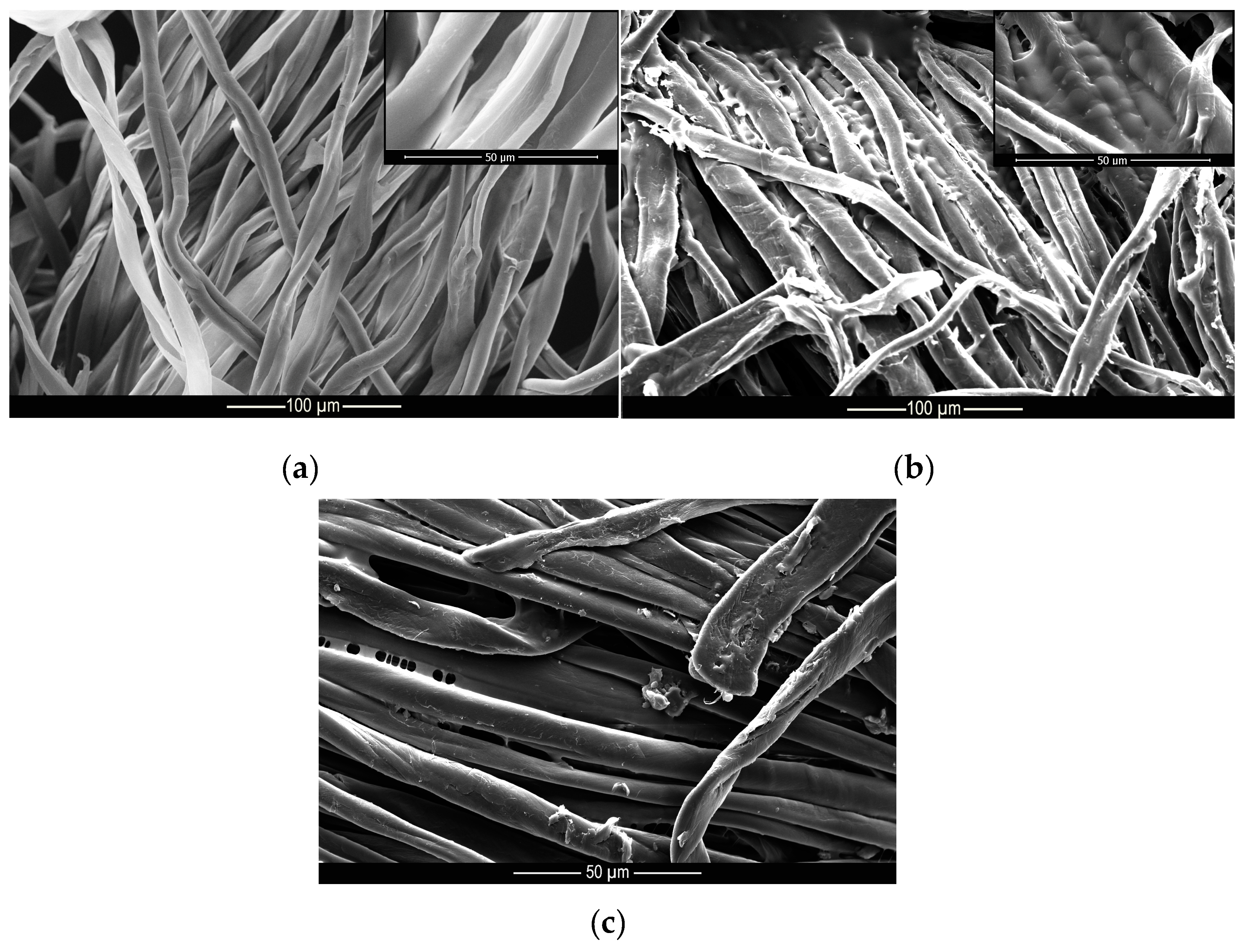 Materials 14 01087 g010