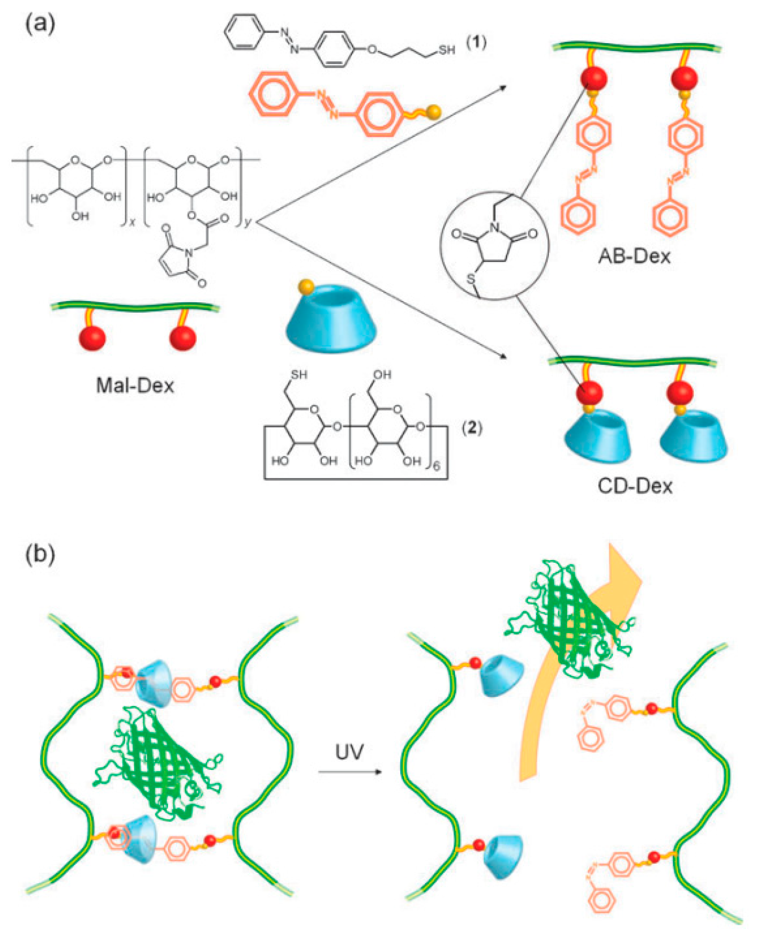 Materials 14 01095 g009