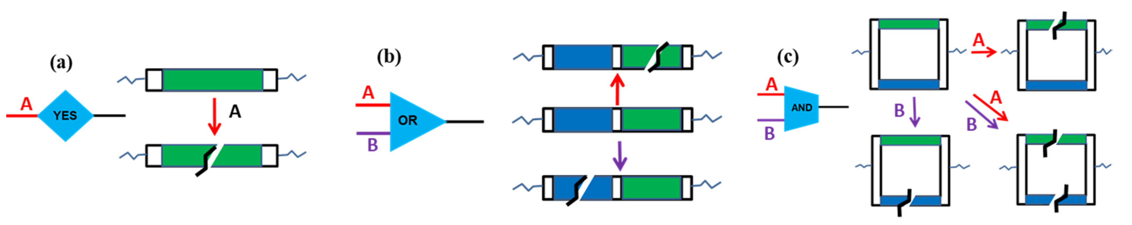 Materials 14 01095 g010