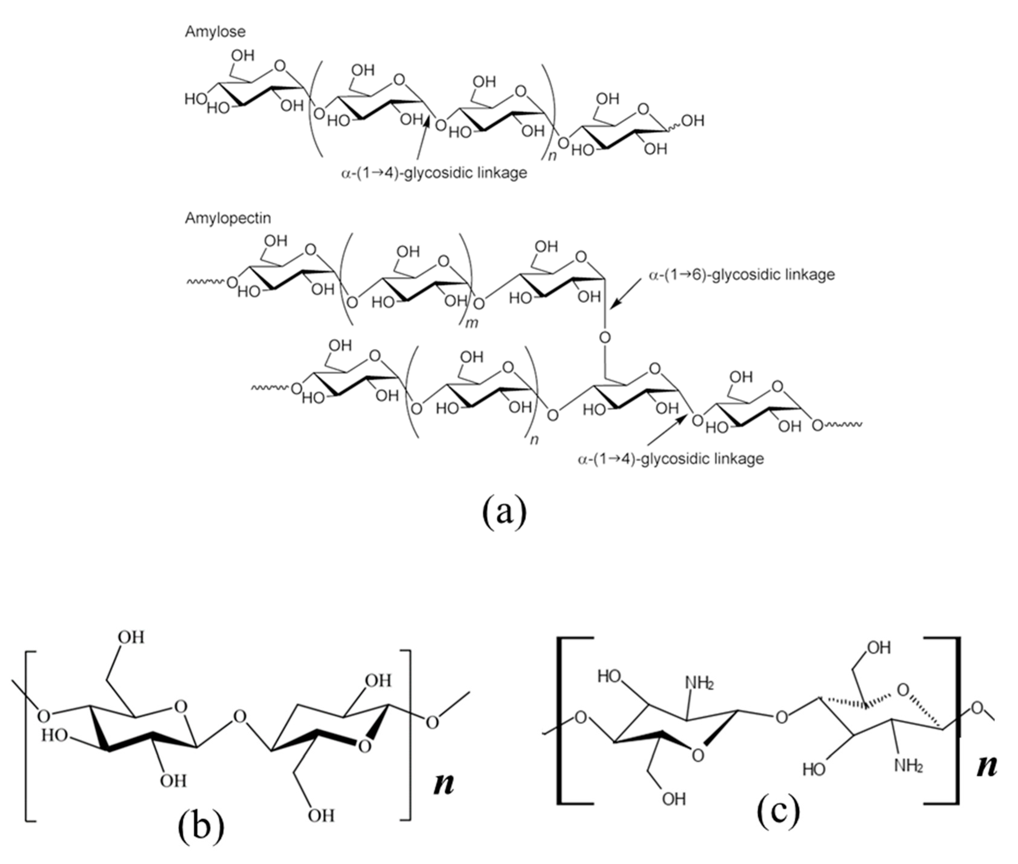 Materials 14 01095 g011