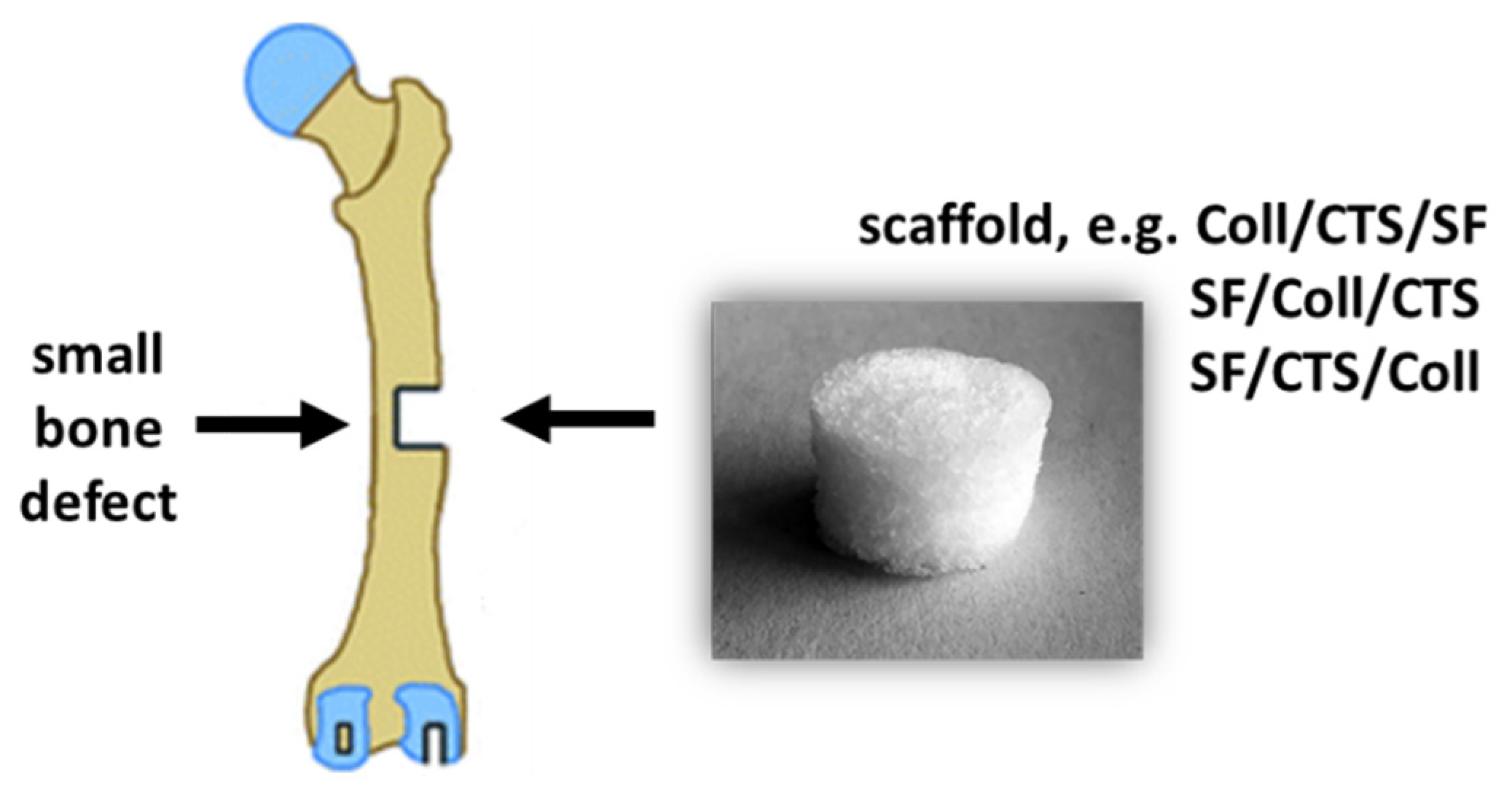 Materials 14 01105 g001 Materials 14 01105 g001