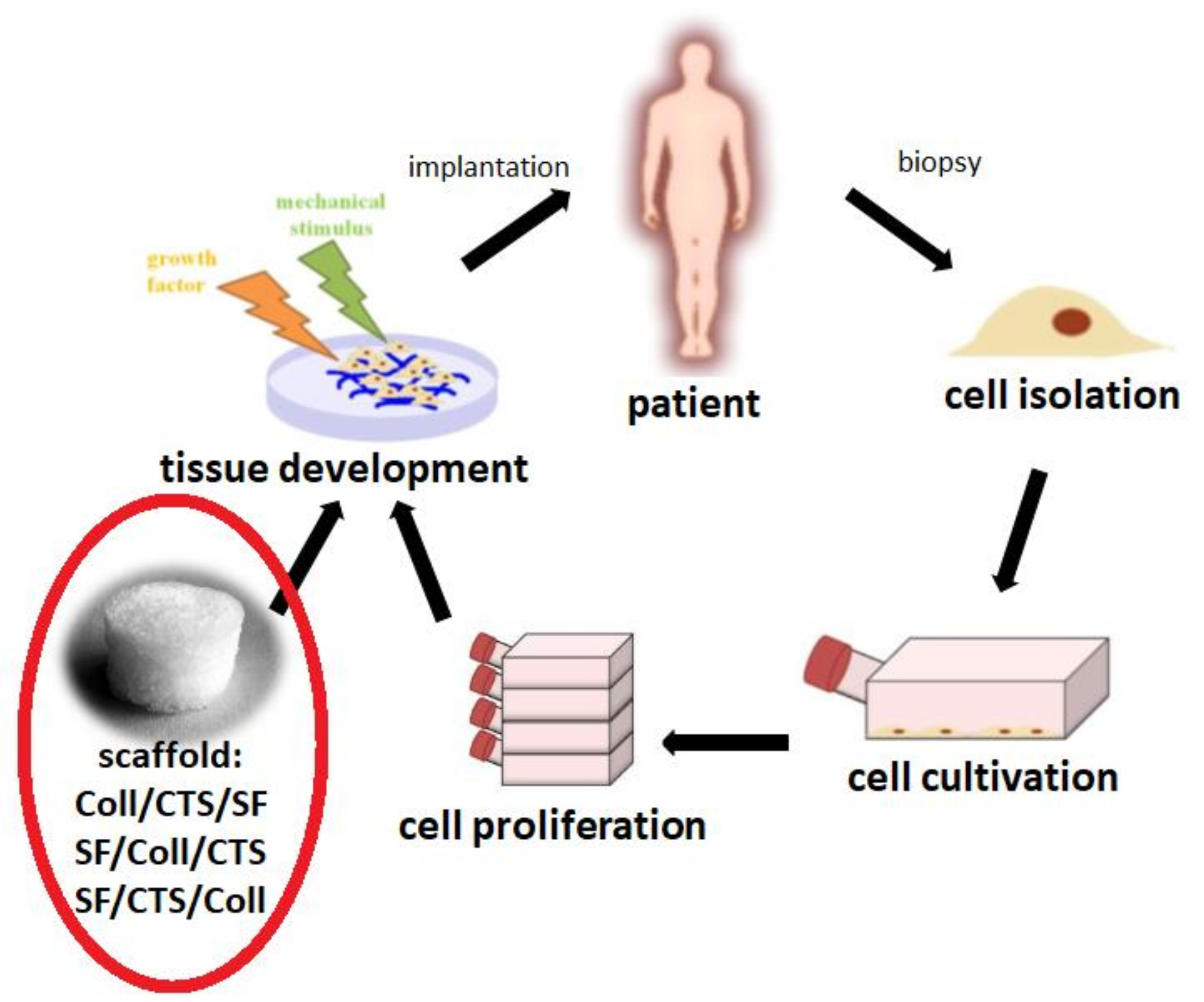 Materials 14 01105 g002 Materials 14 01105 g002
