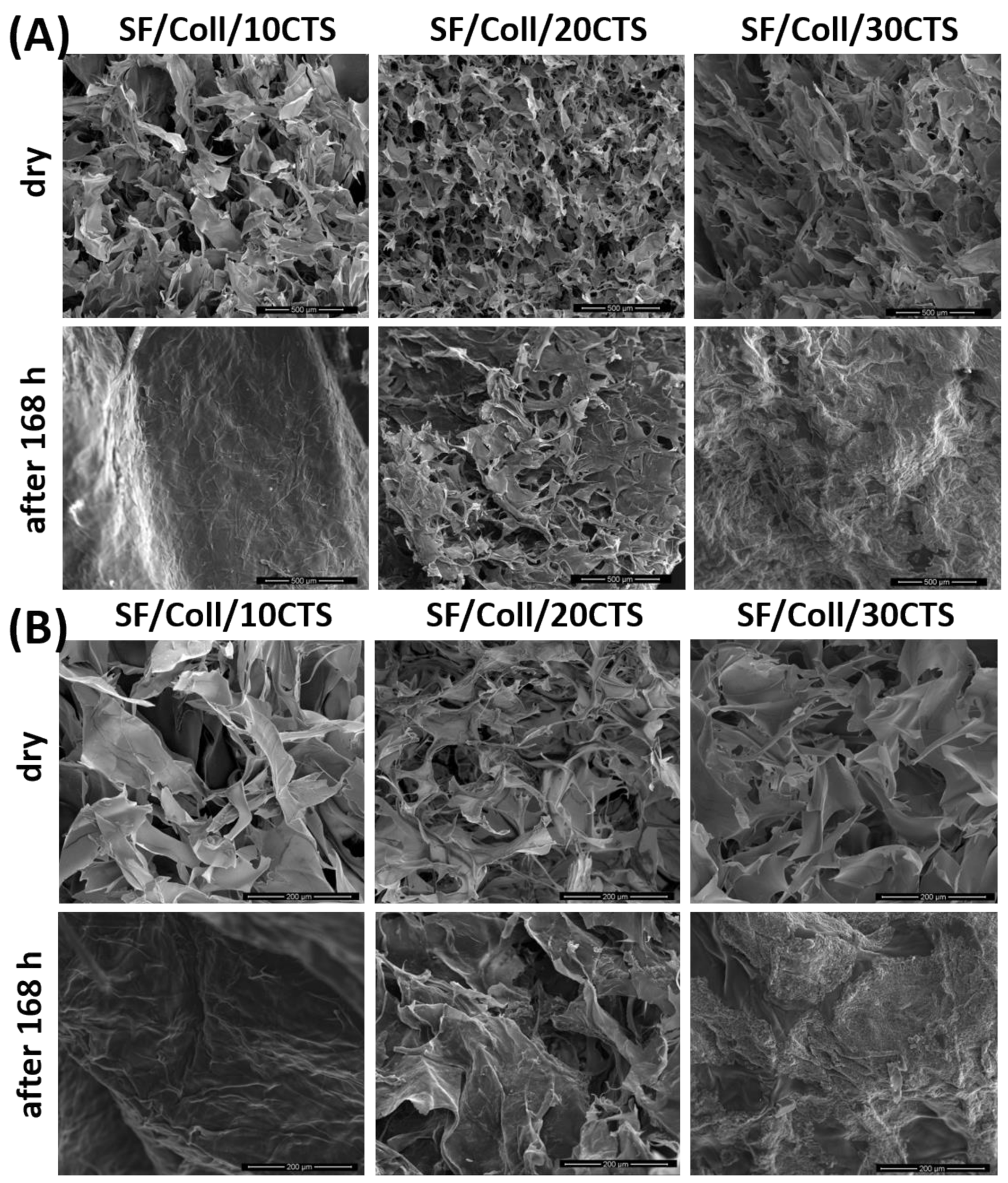 Materials 14 01105 g009 Materials 14 01105 g009