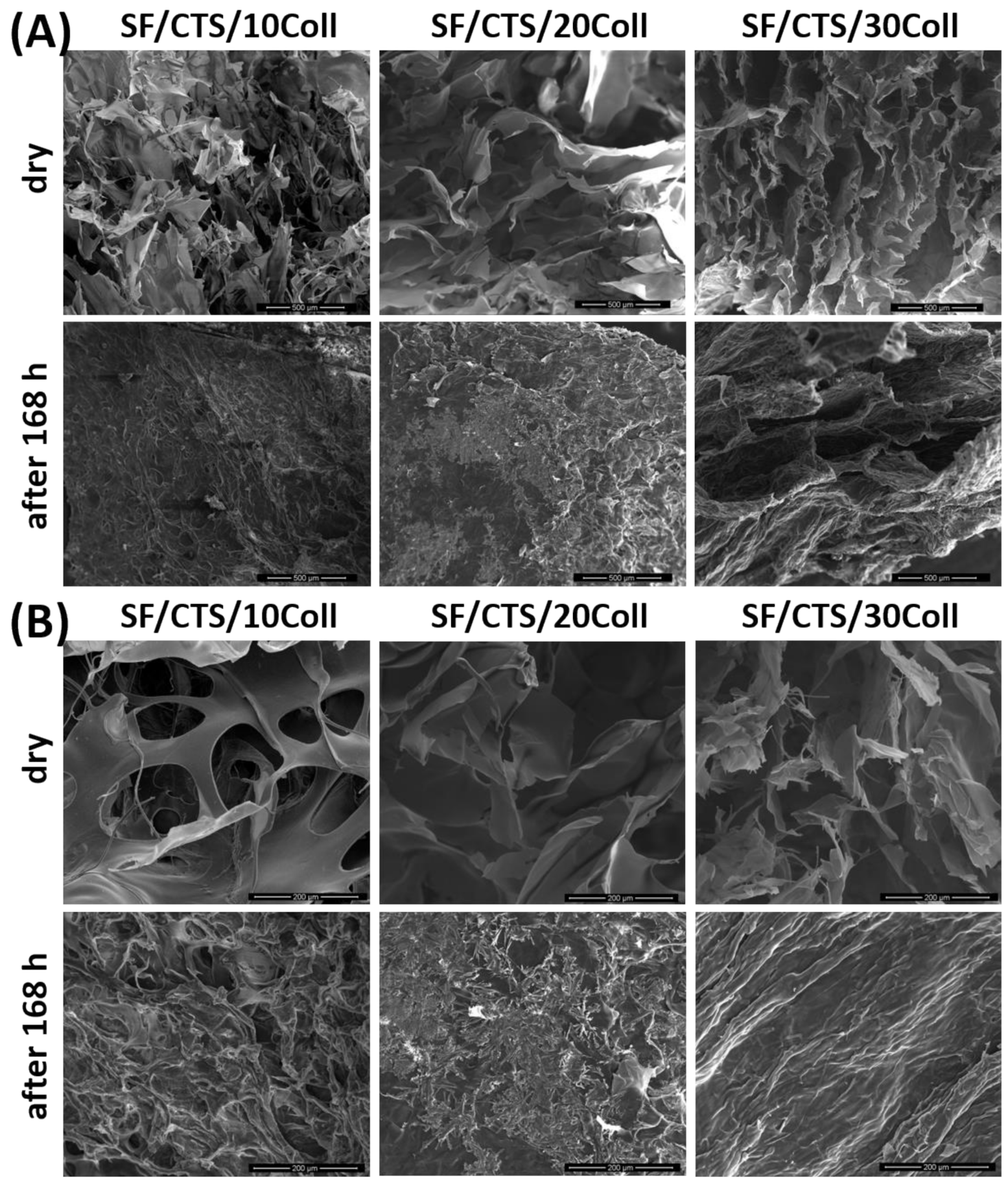 Materials 14 01105 g010 Materials 14 01105 g010