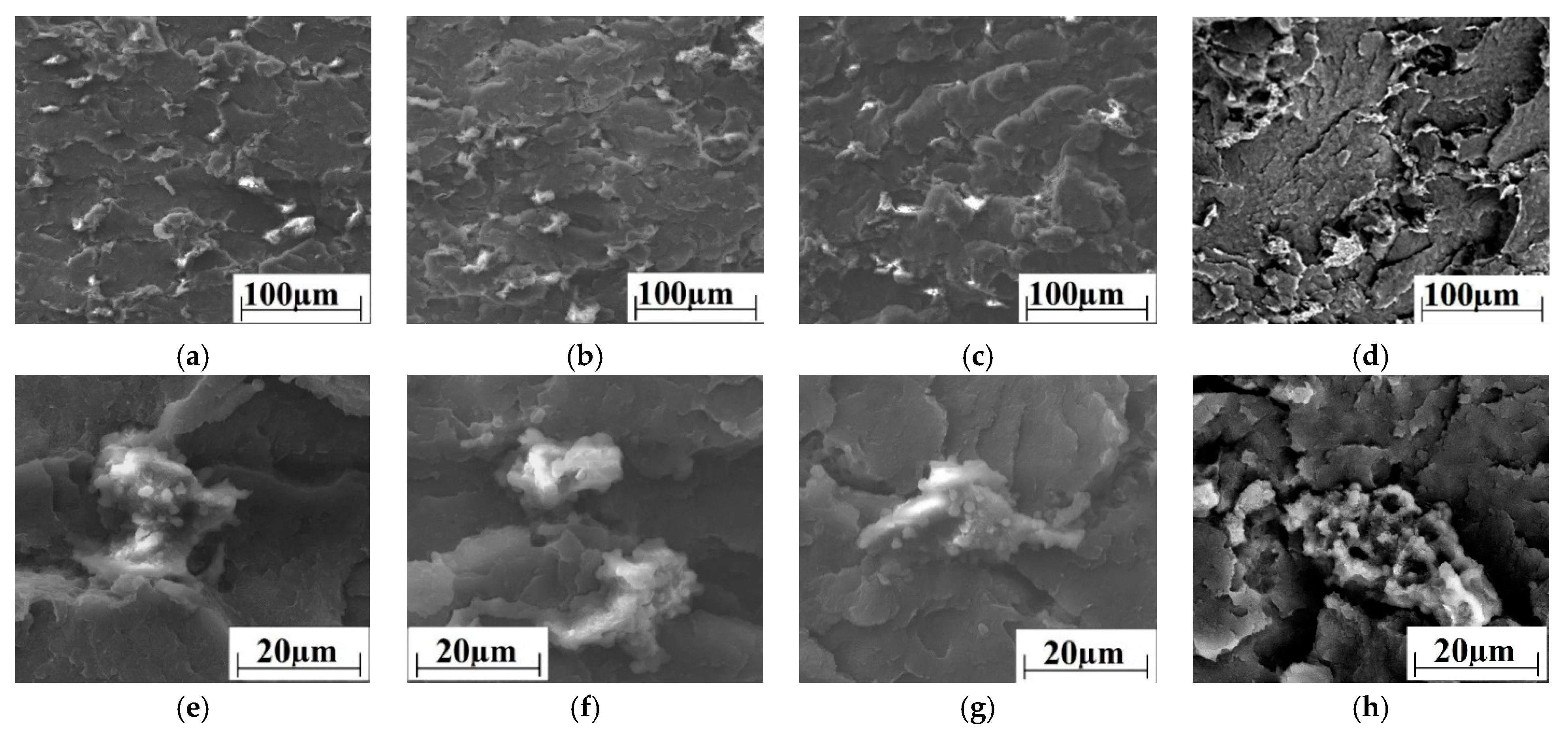 Materials 14 01113 g006