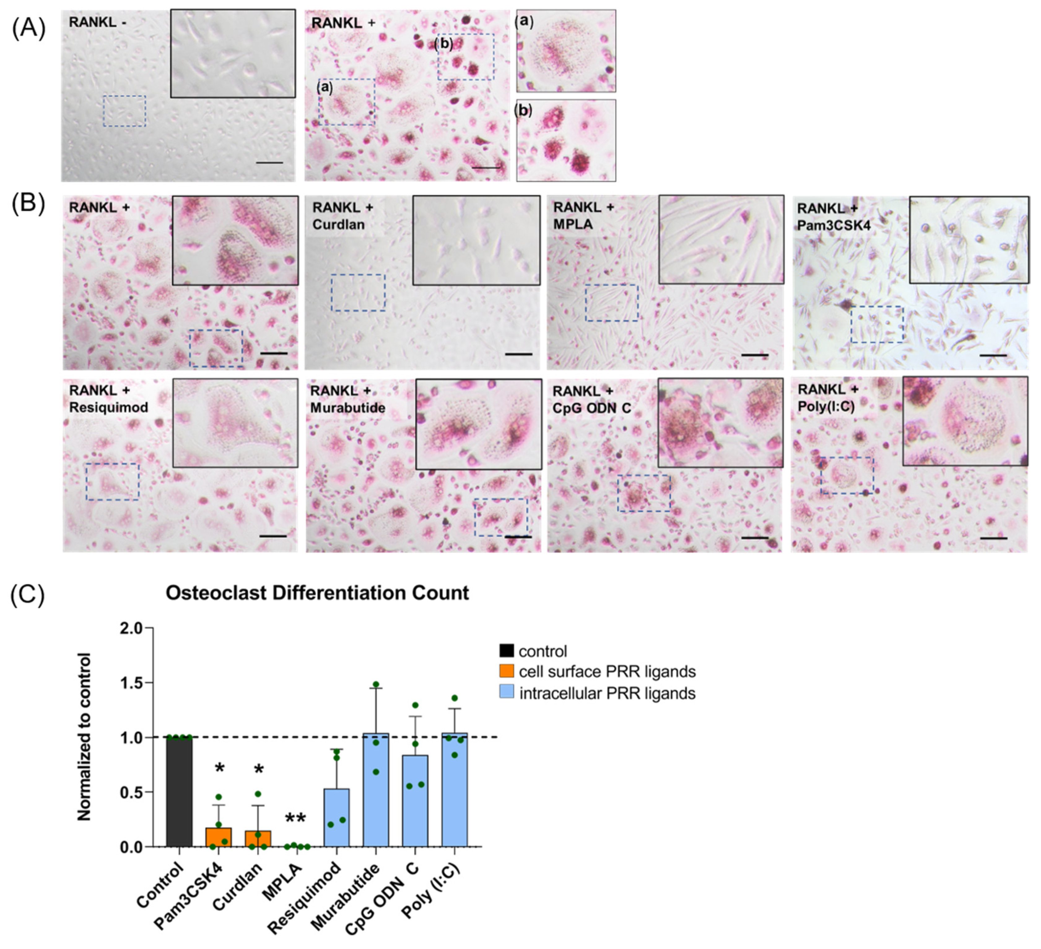 Materials 14 01119 g003 Materials 14 01119 g003