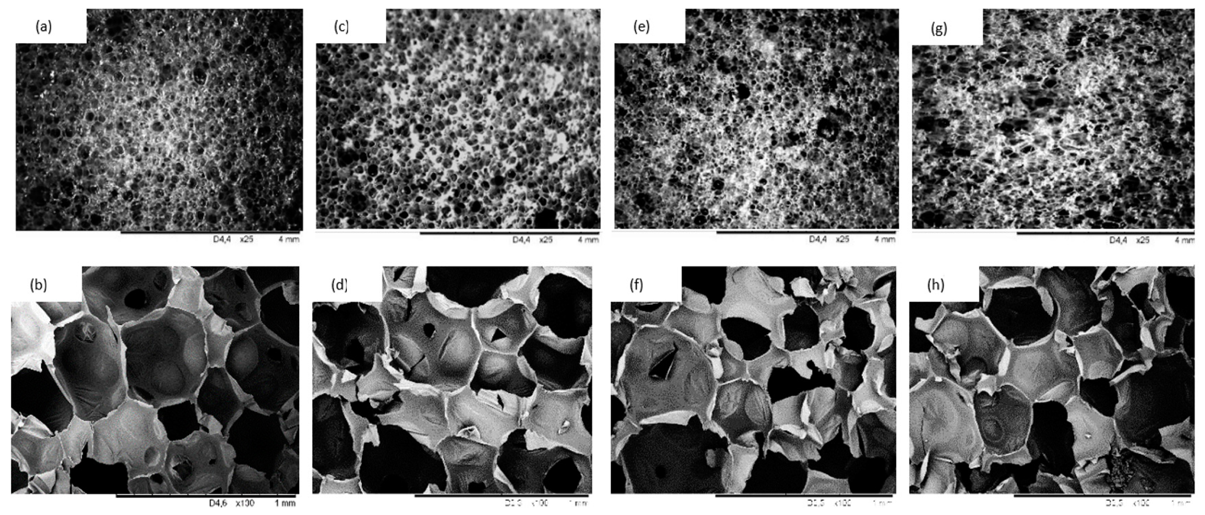 Materials 14 01128 g008