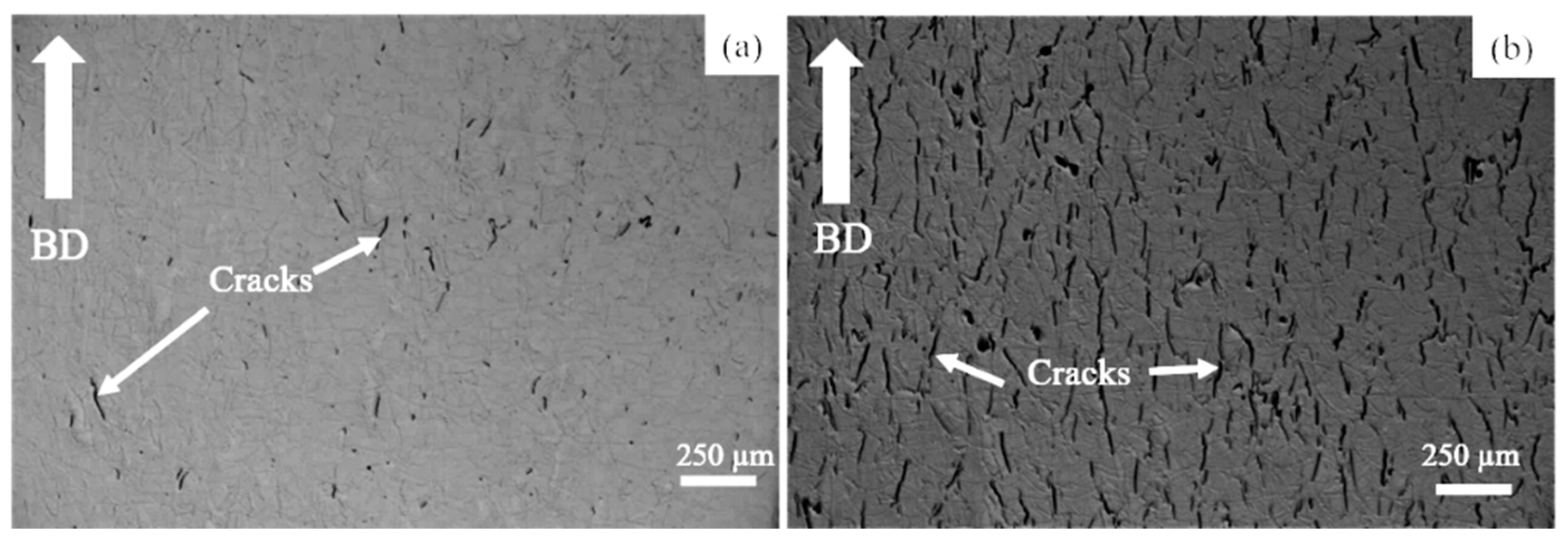 Materials 14 01143 g001 Materials 14 01143 g001
