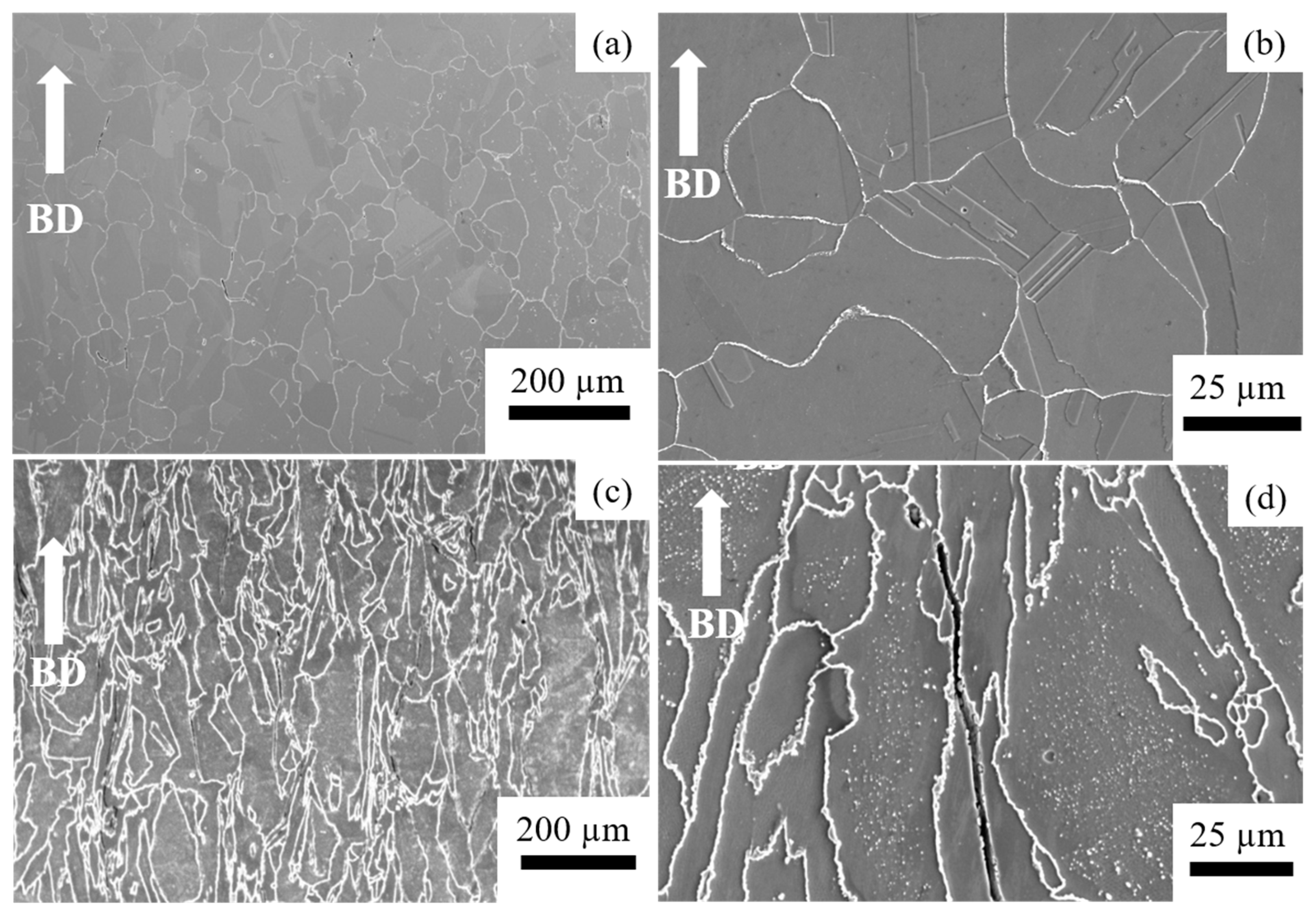Materials 14 01143 g006 Materials 14 01143 g006