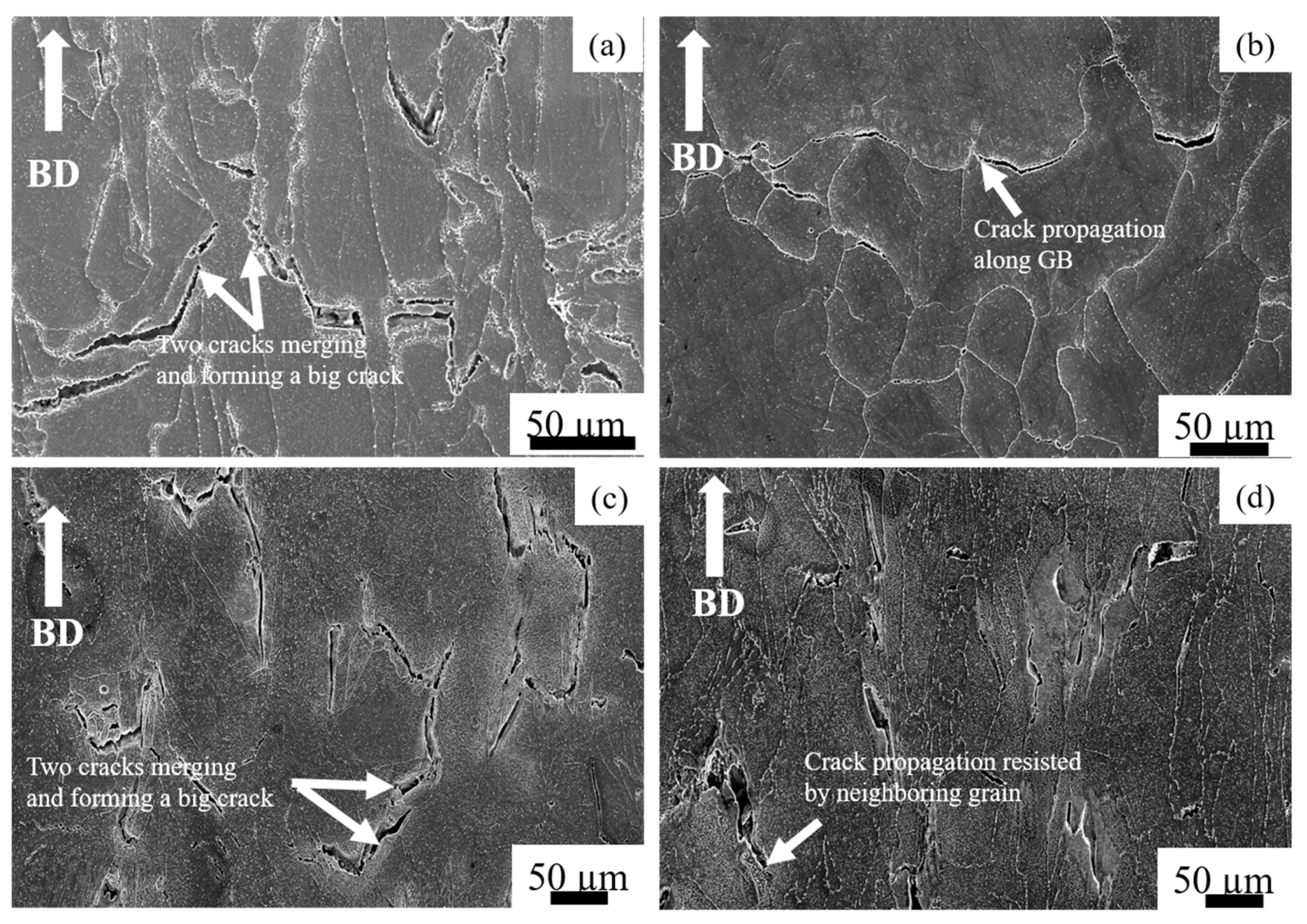 Materials 14 01143 g012 Materials 14 01143 g012