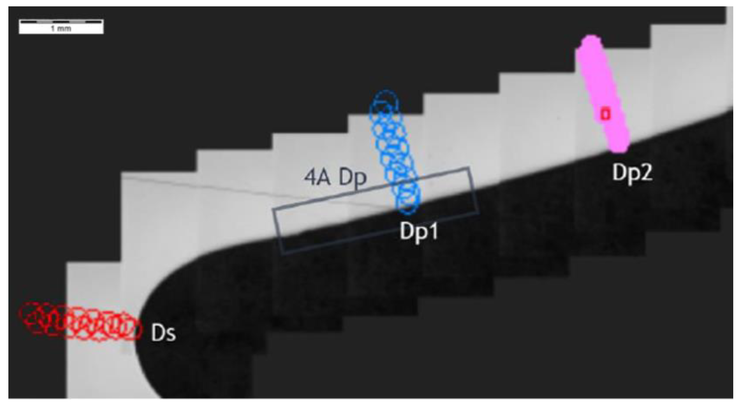 Materials 14 01155 g021