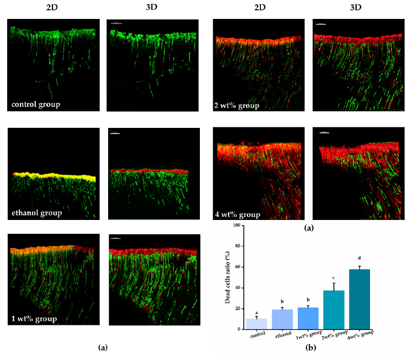Materials 14 01178 g003 Materials 14 01178 g003