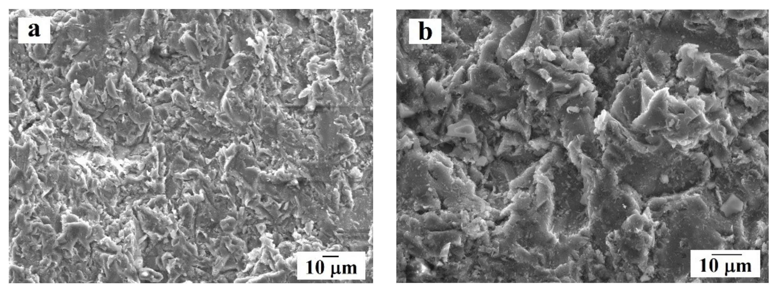 Materials 14 01206 g001 Materials 14 01206 g001