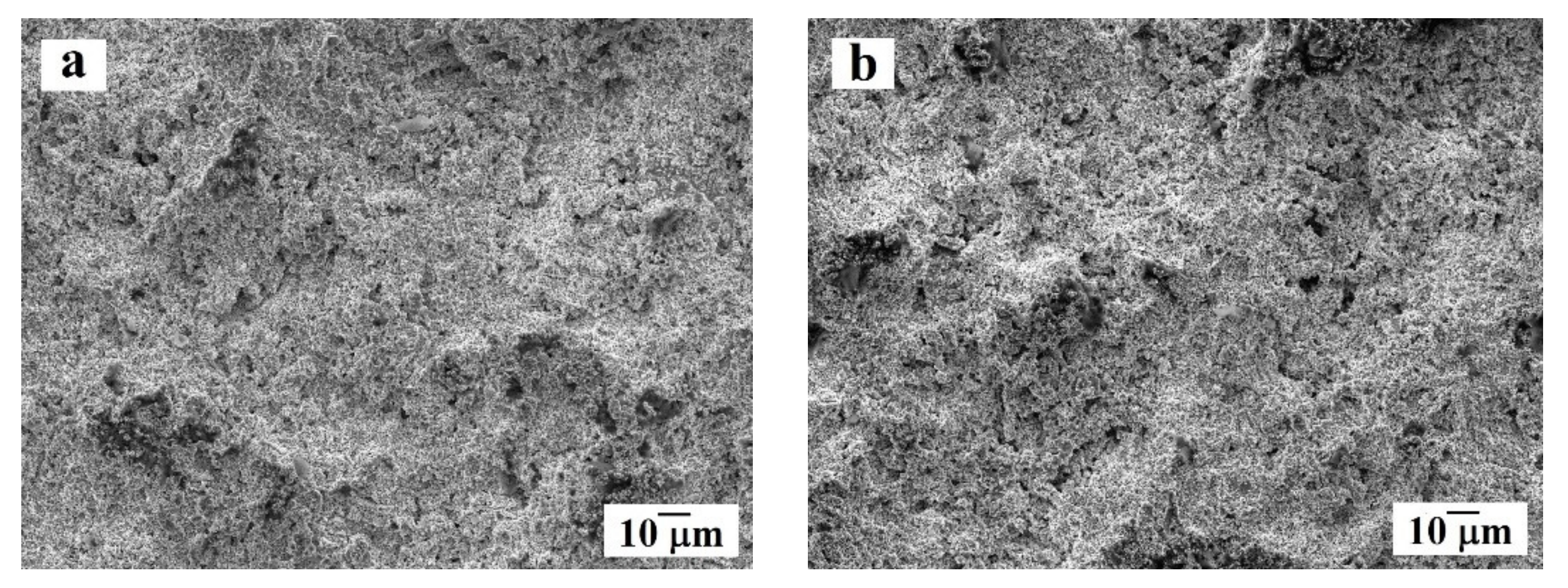 Materials 14 01206 g005a Materials 14 01206 g005a