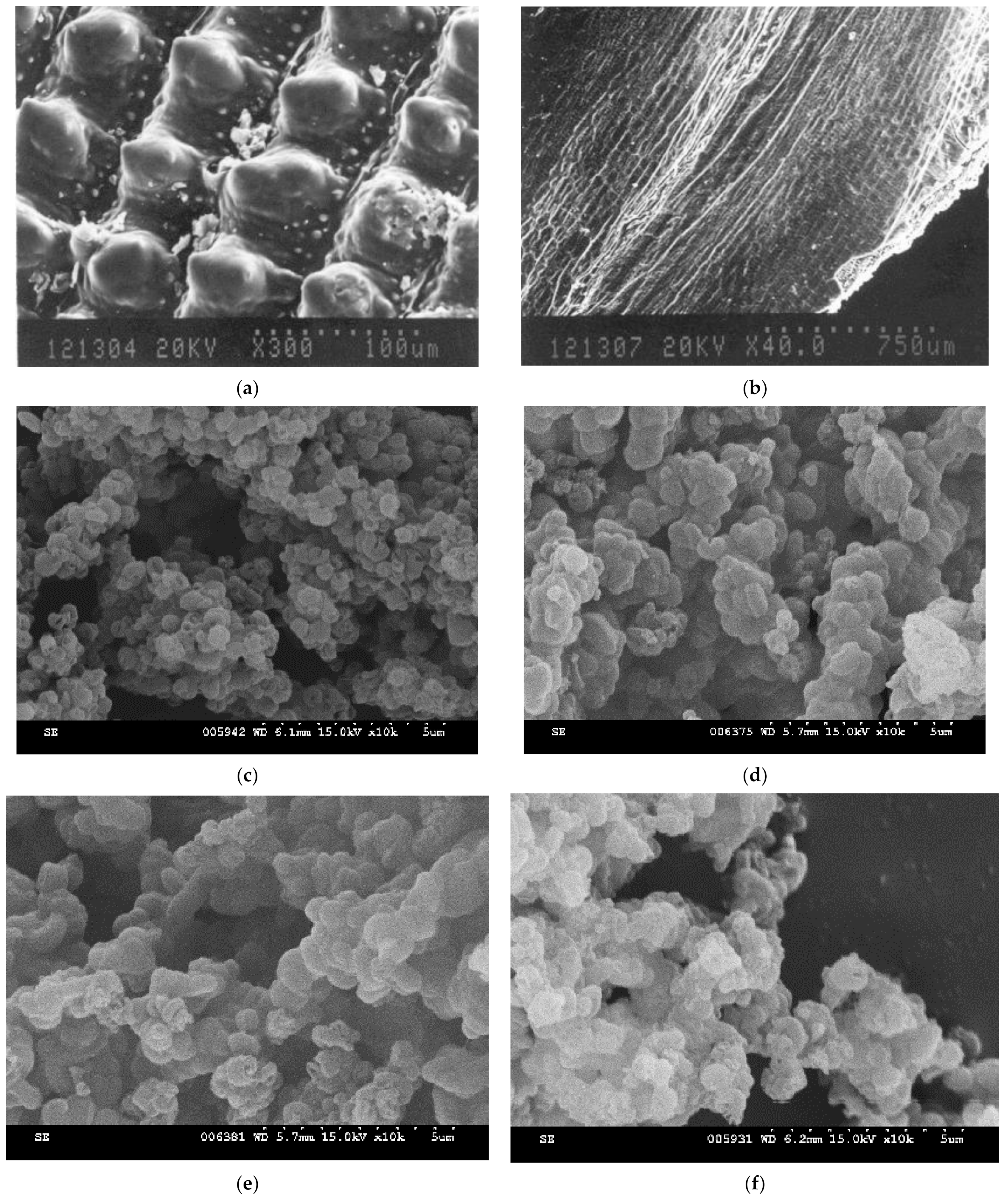 Materials 14 01214 g005 Materials 14 01214 g005