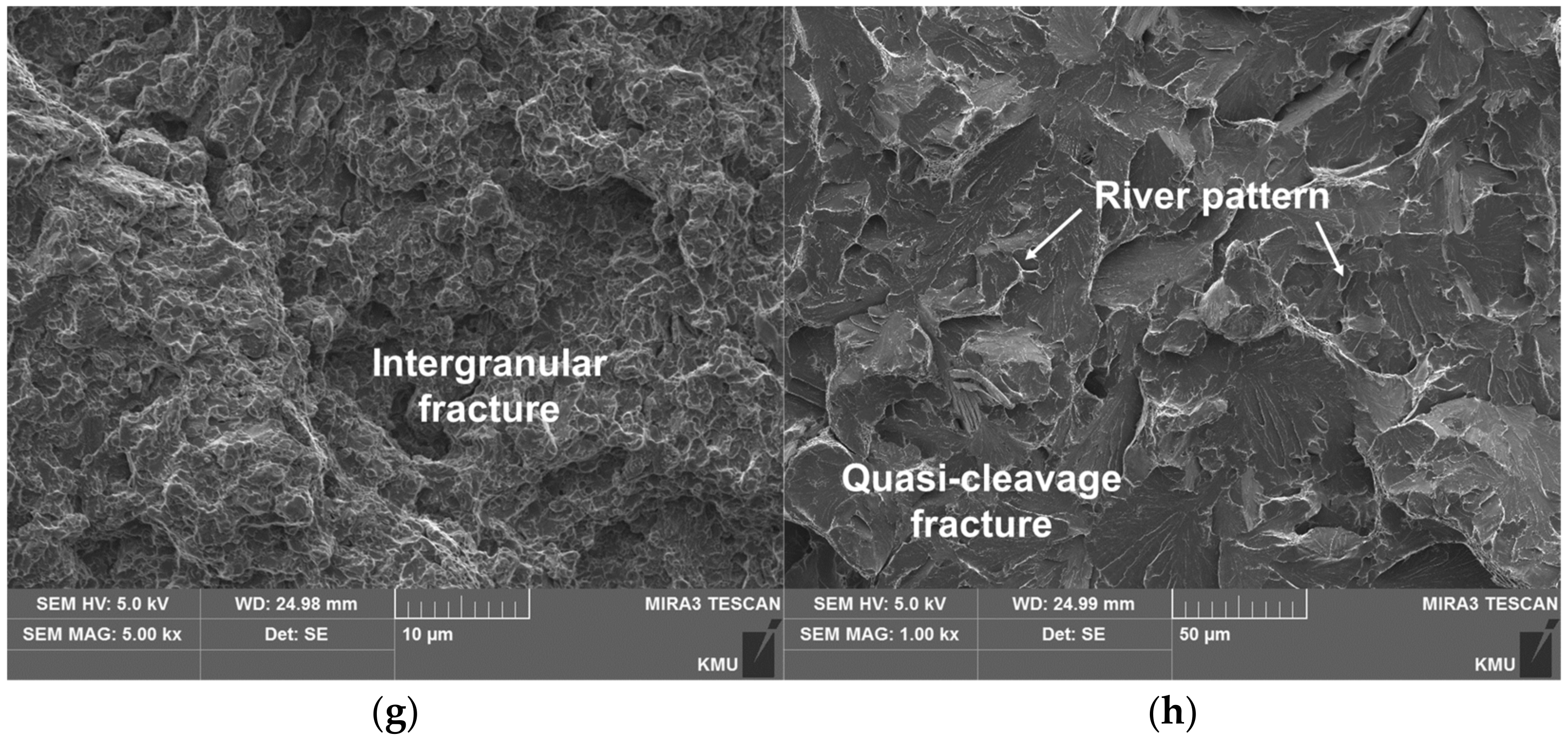 Materials 14 01231 g017b Materials 14 01231 g017b