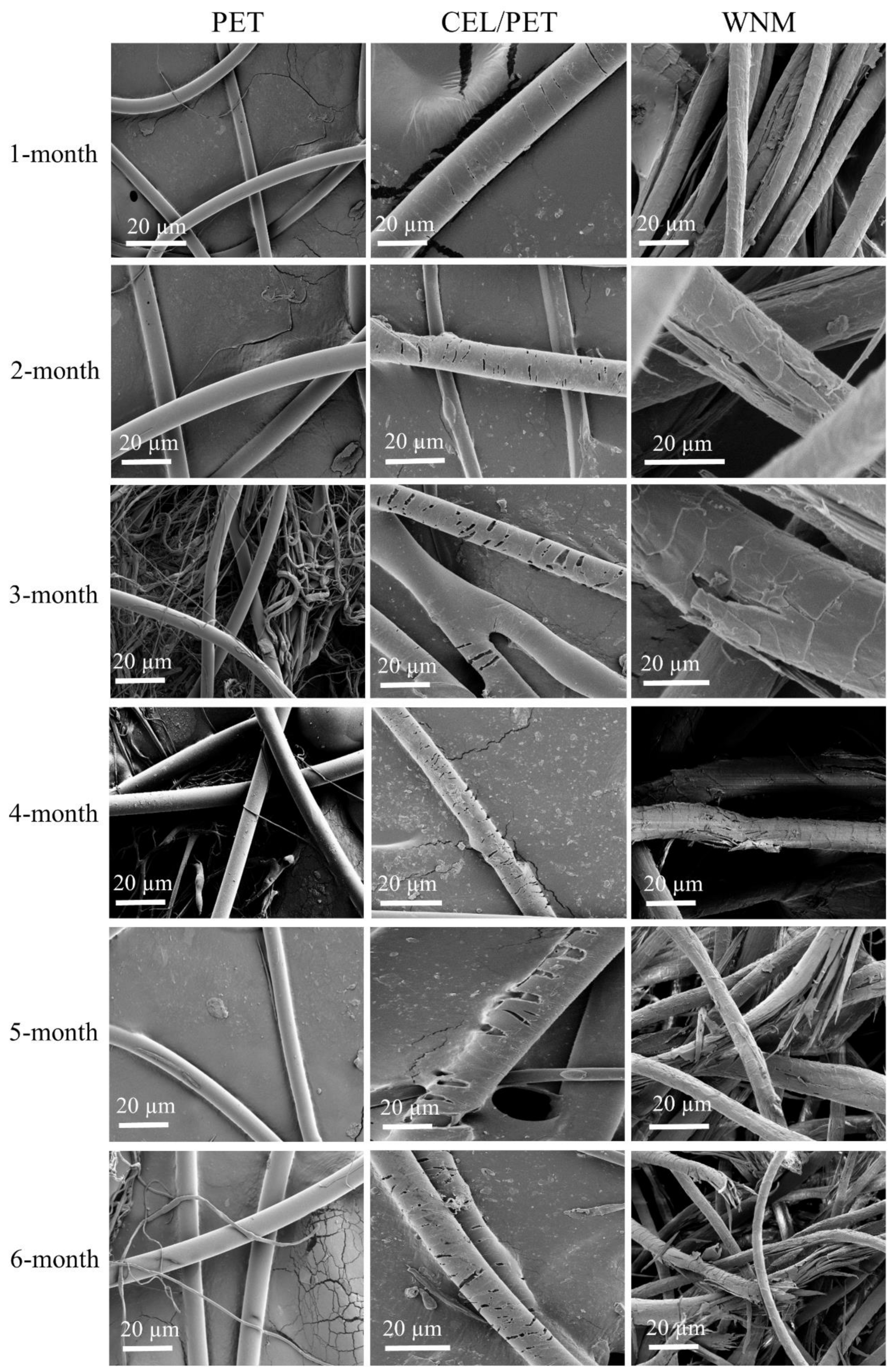 Materials 14 01241 g013