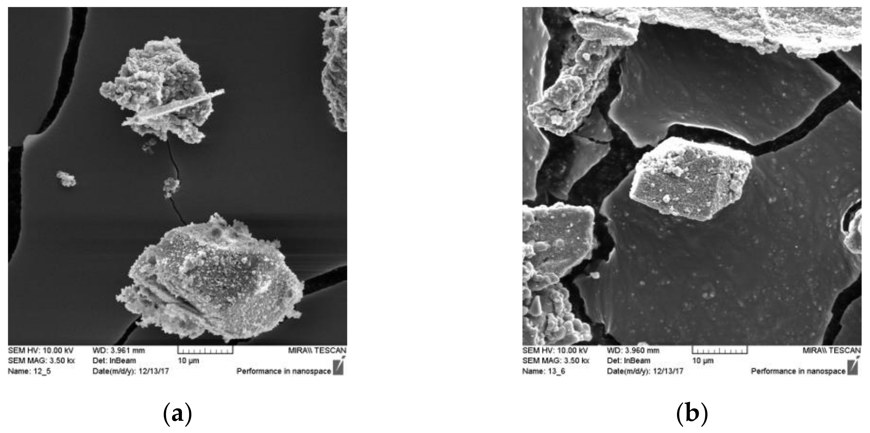 Materials 14 01250 g006 Materials 14 01250 g006