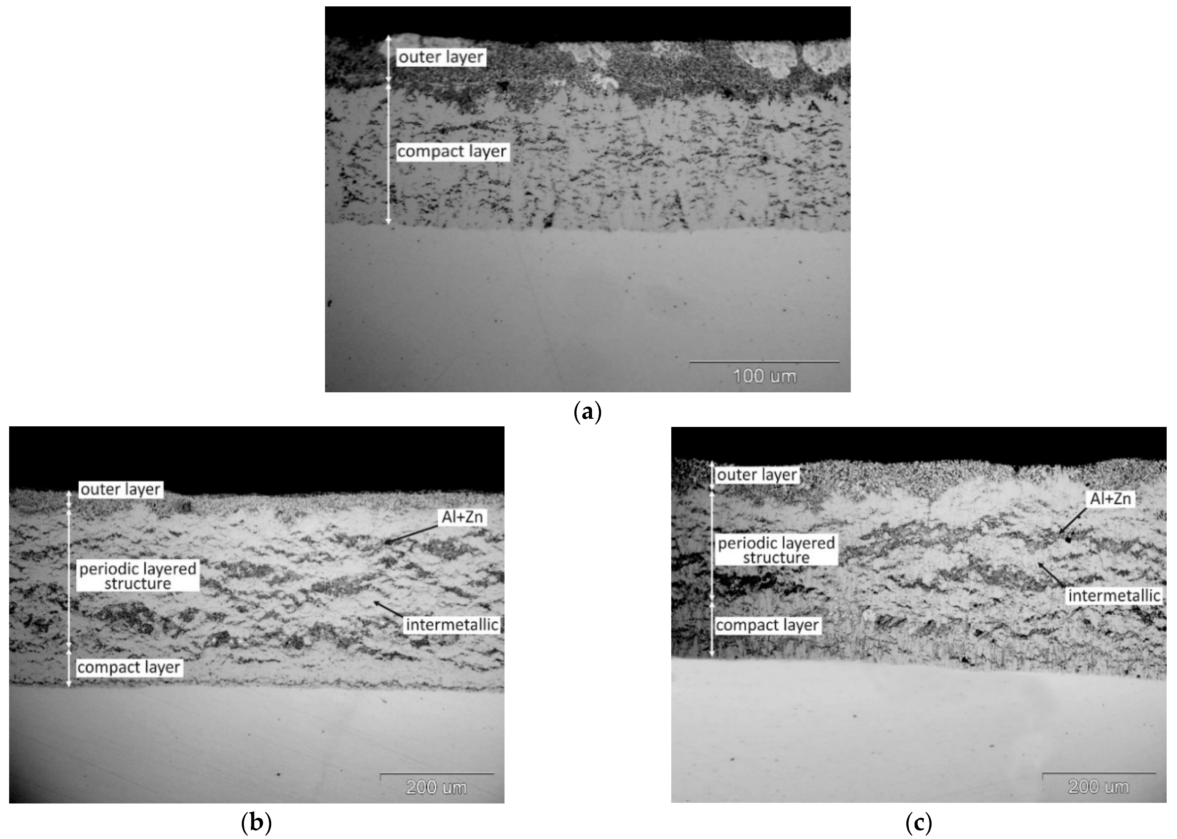 Materials 14 01259 g001a