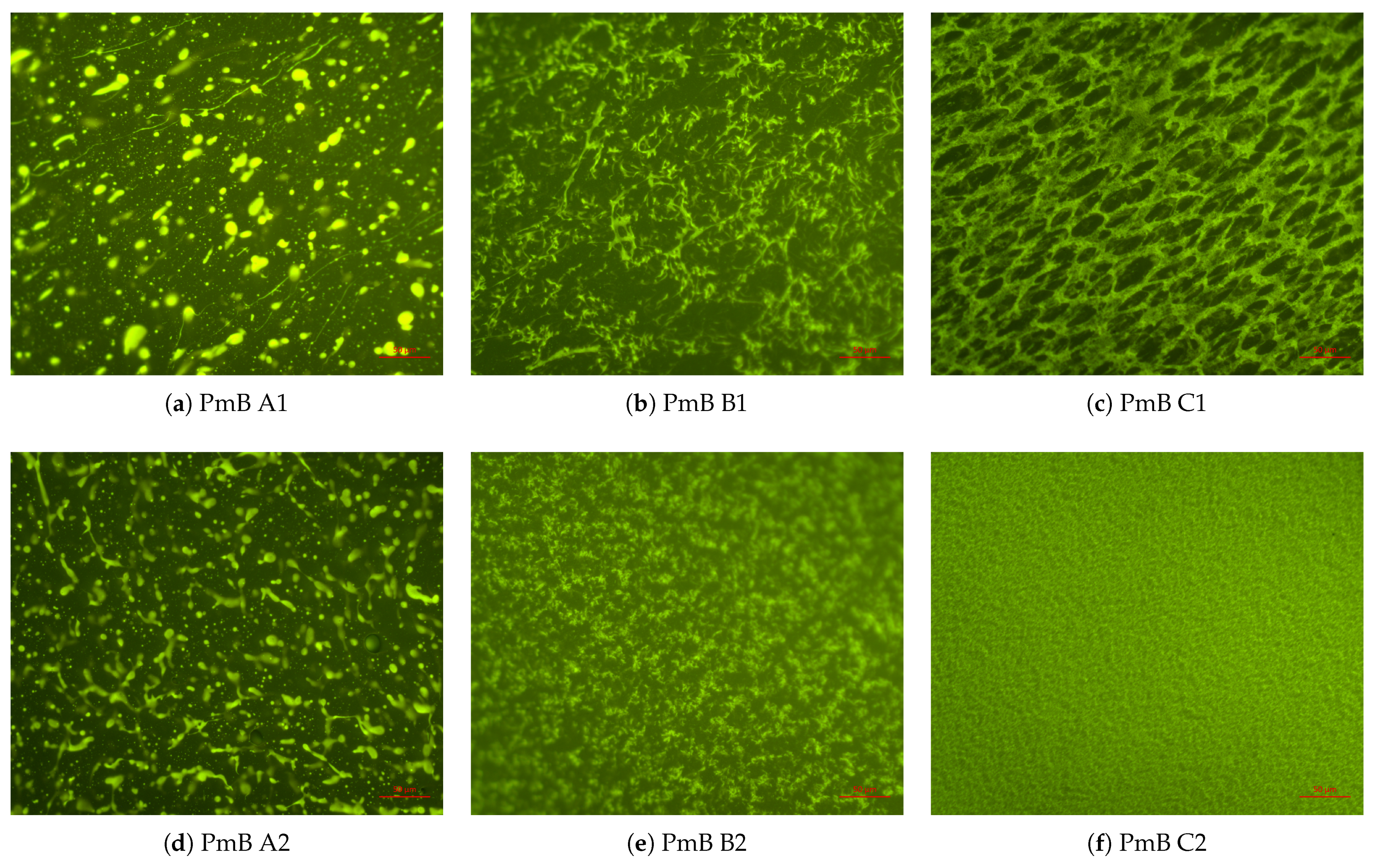 Materials 14 01273 g006