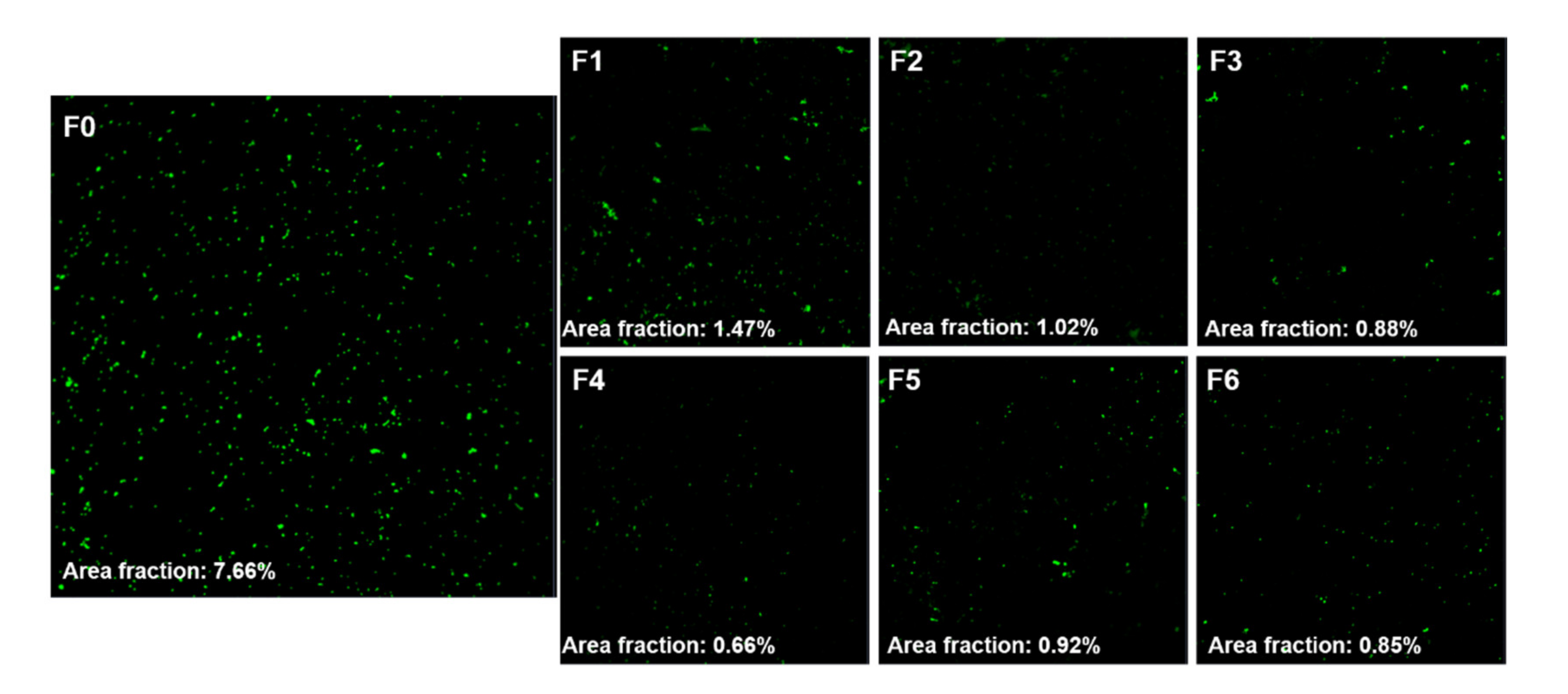 Materials 14 01286 g004