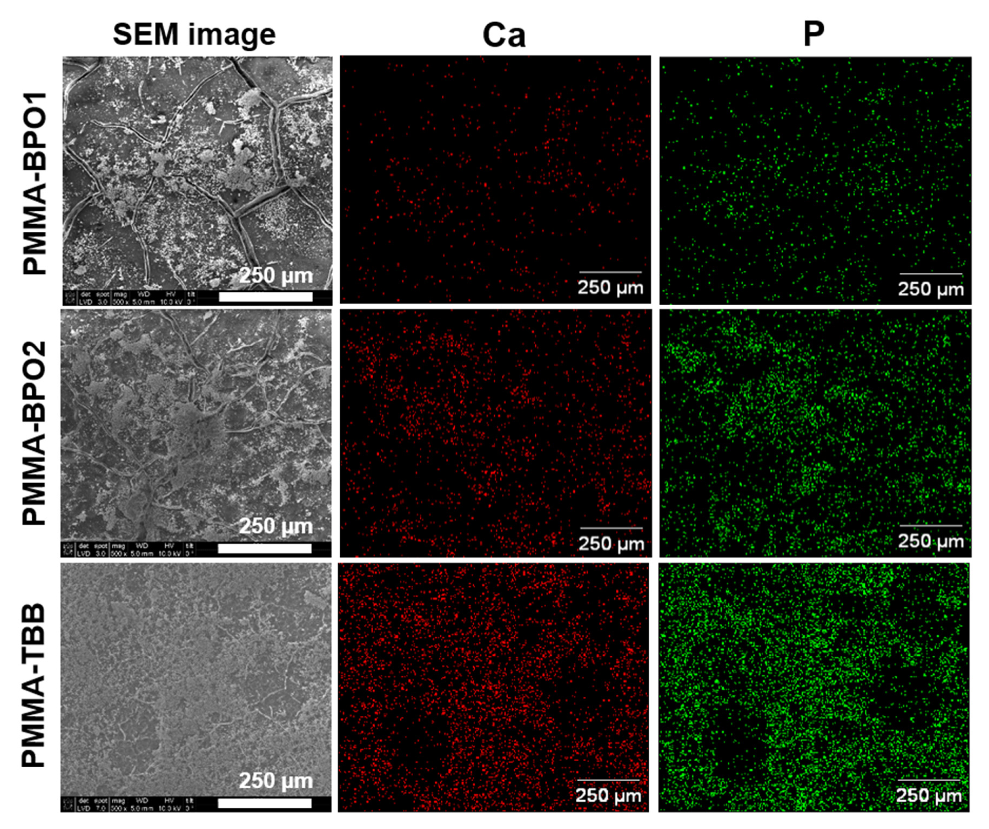 Materials 14 01289 g006 Materials 14 01289 g006