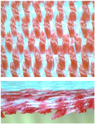 Materials 14 01315 i013 Materials 14 01315 i013