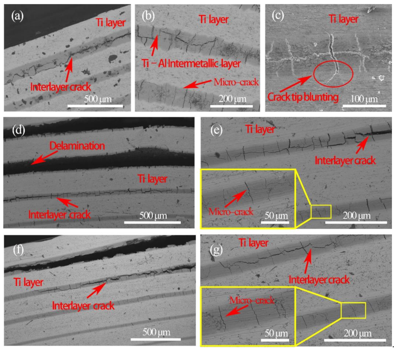 Materials 14 01323 g018 Materials 14 01323 g018