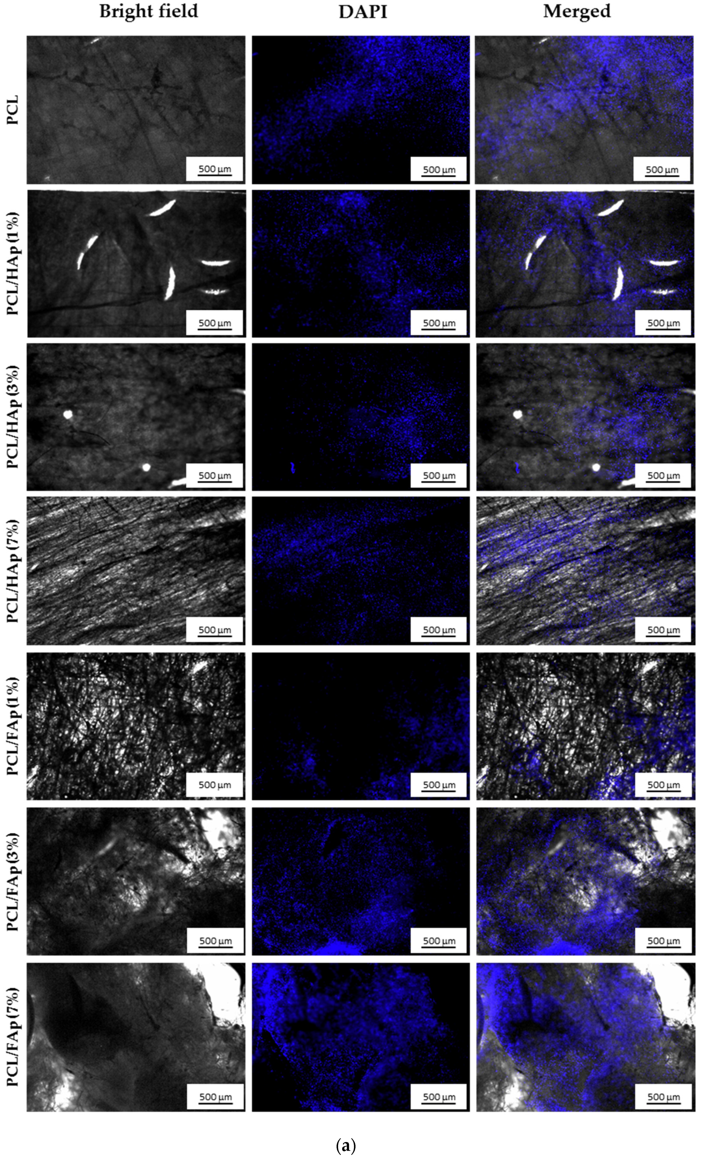 Materials 14 01333 g004a Materials 14 01333 g004a