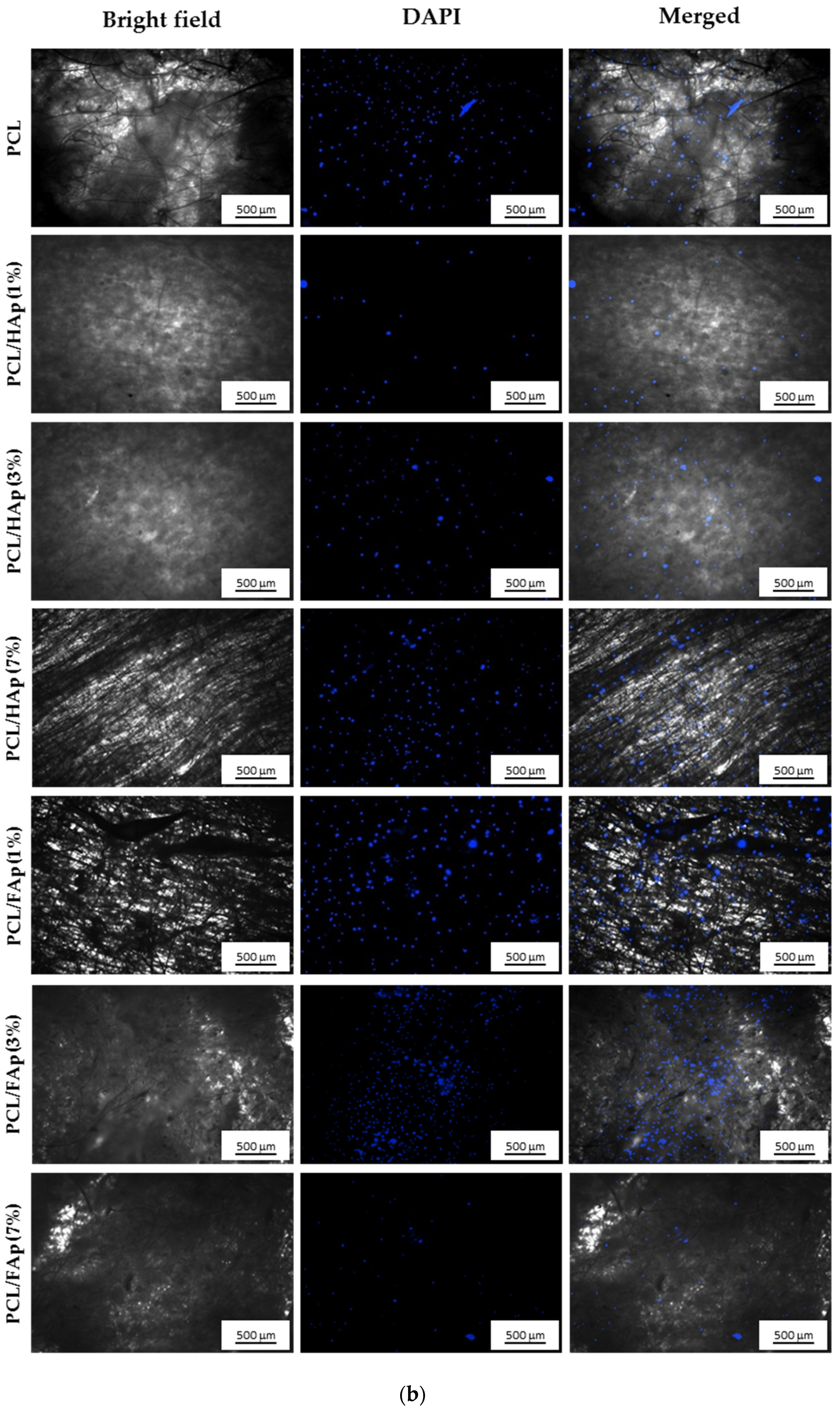 Materials 14 01333 g004b Materials 14 01333 g004b