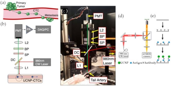 Materials 14 01339 g006