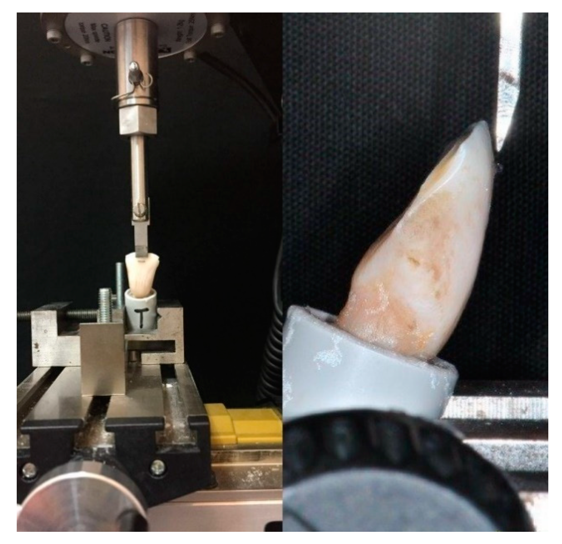 Materials 14 01341 g001 Materials 14 01341 g001