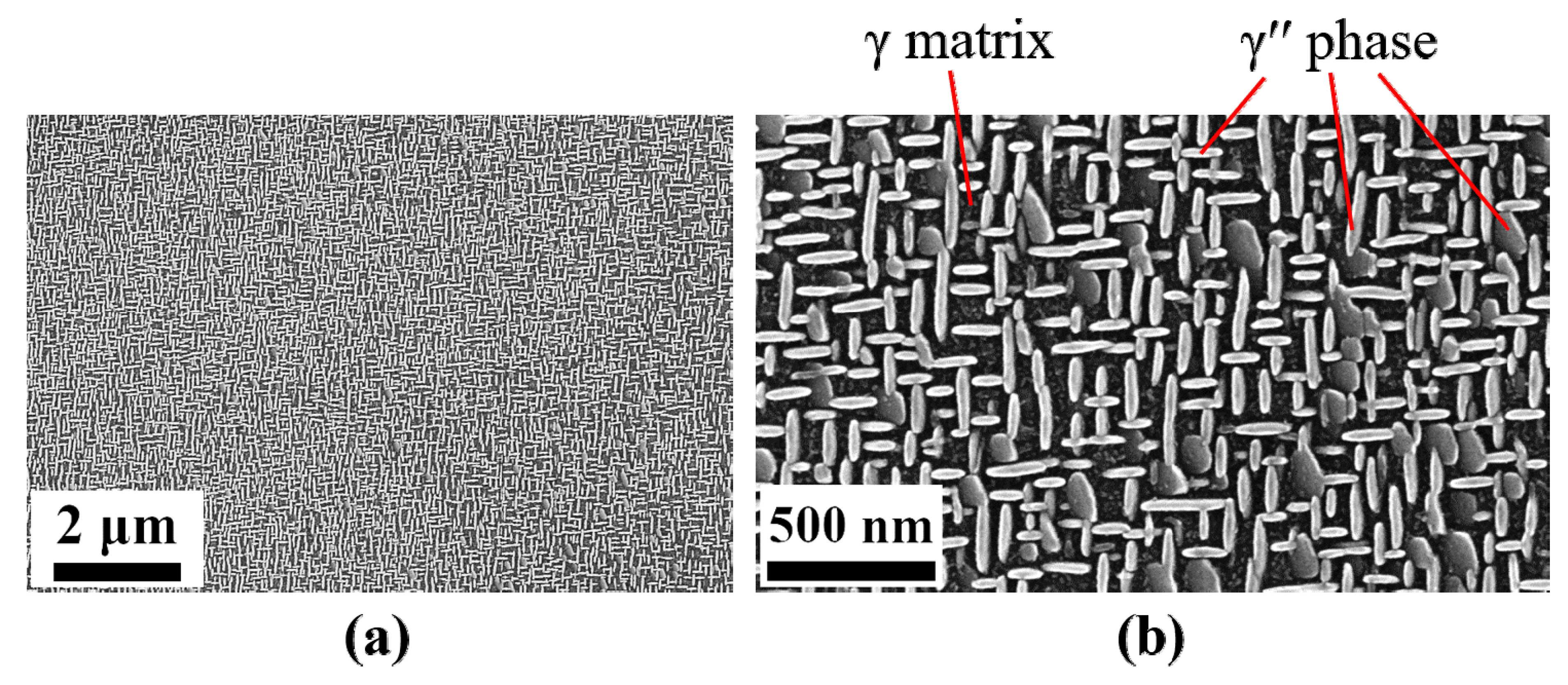 Materials 14 01373 g002