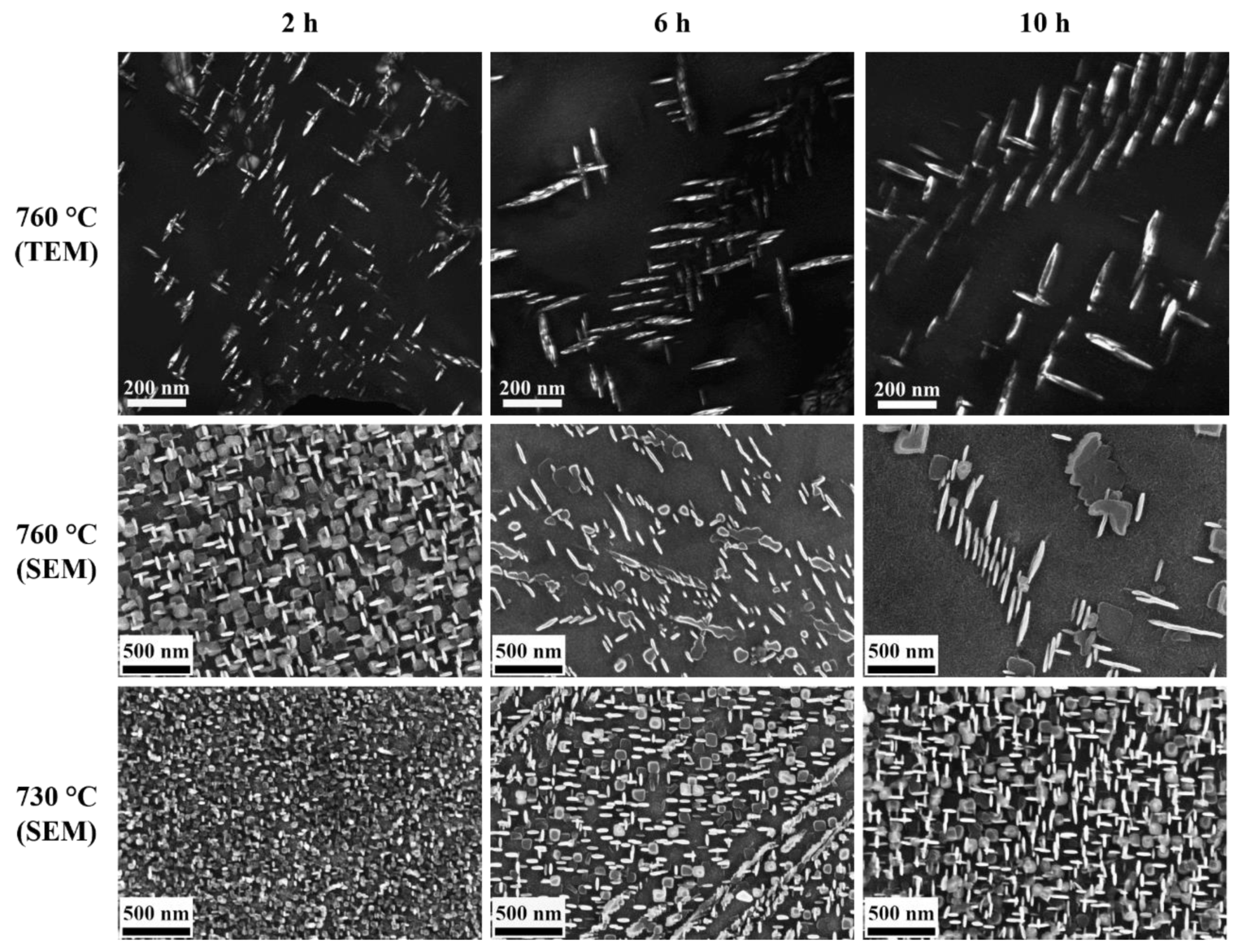 Materials 14 01373 g005