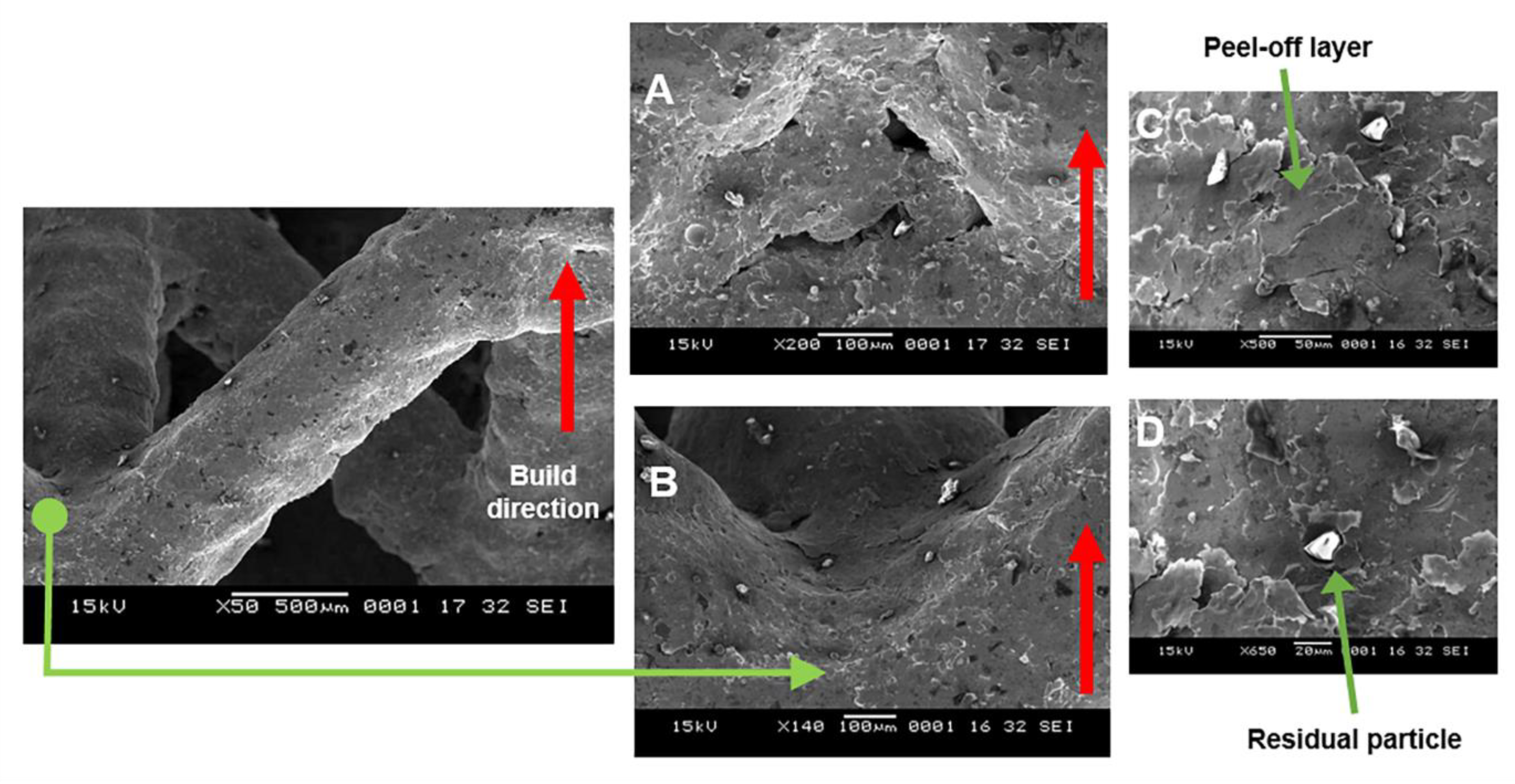 Materials 14 01376 g007