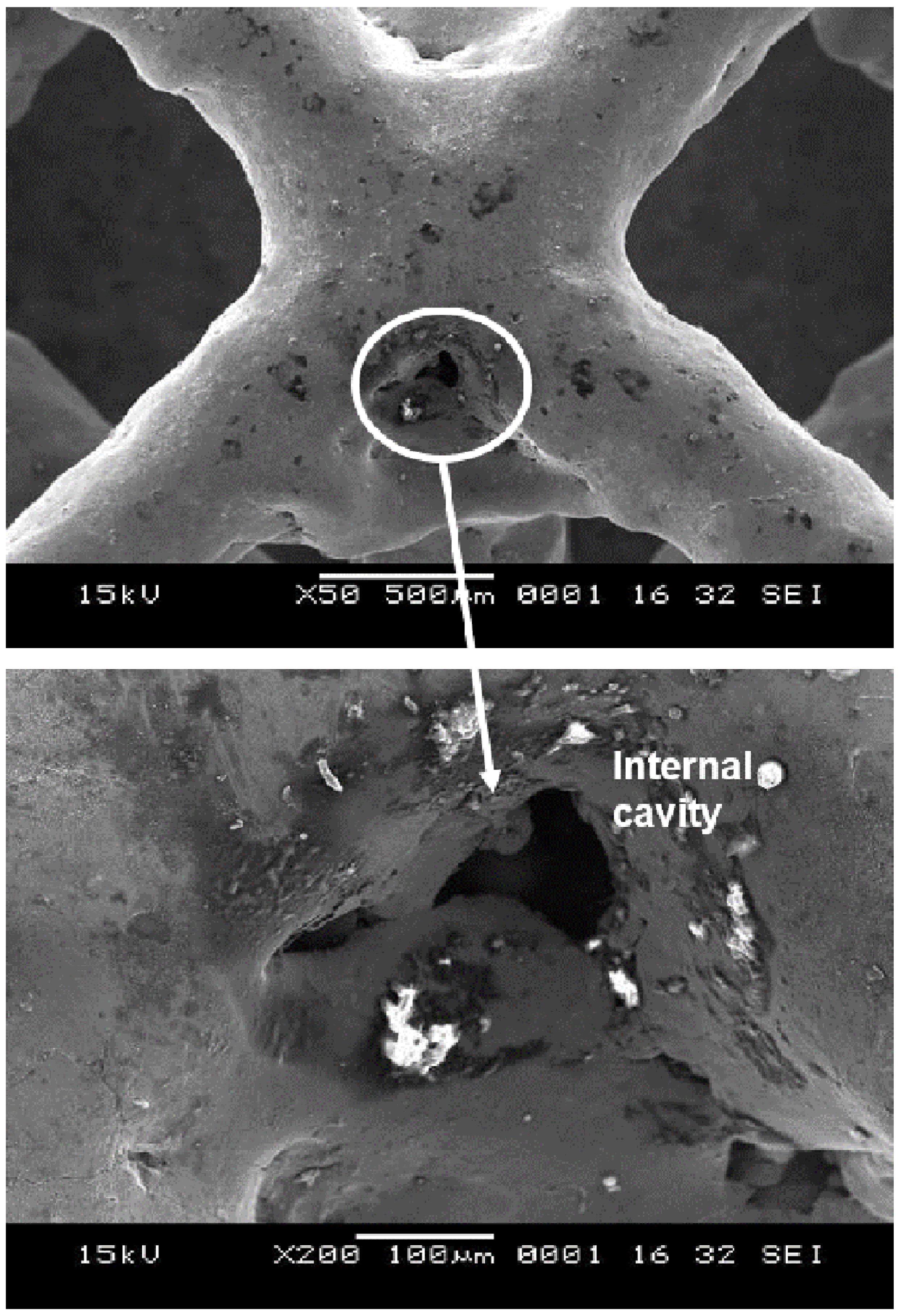 Materials 14 01376 g013