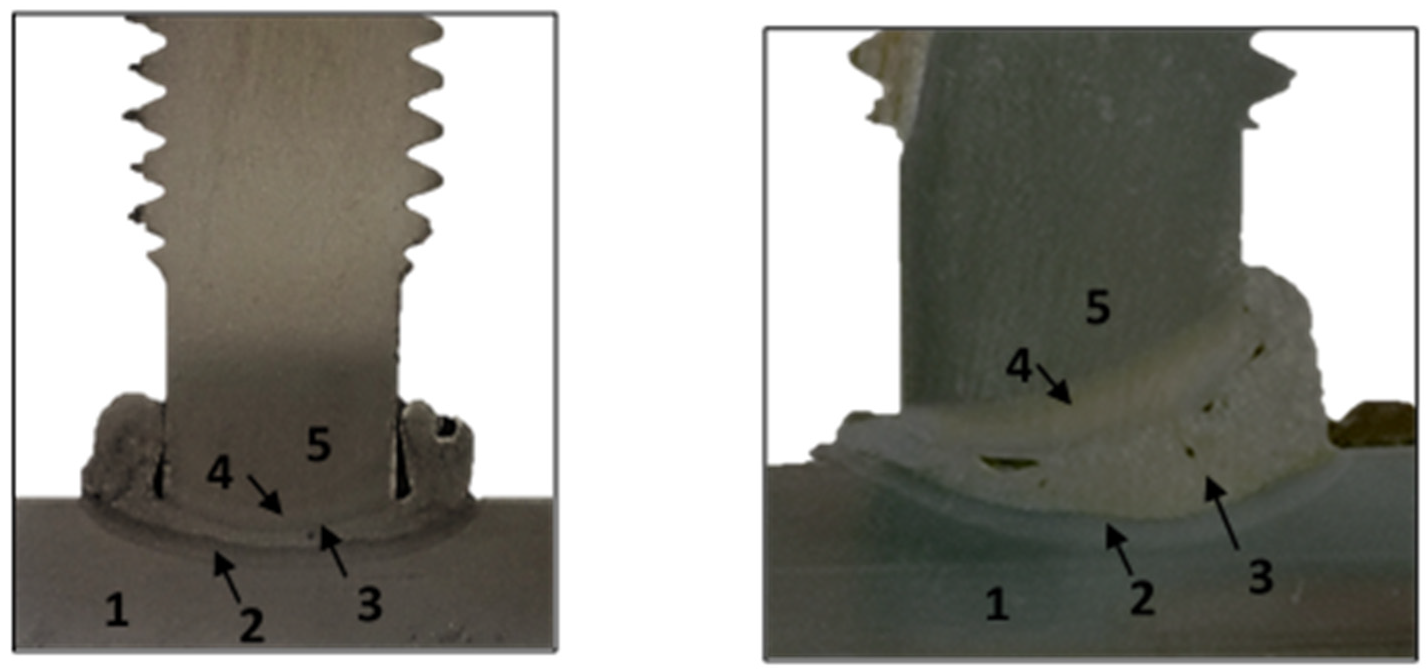 Materials 14 01429 g005 Materials 14 01429 g005